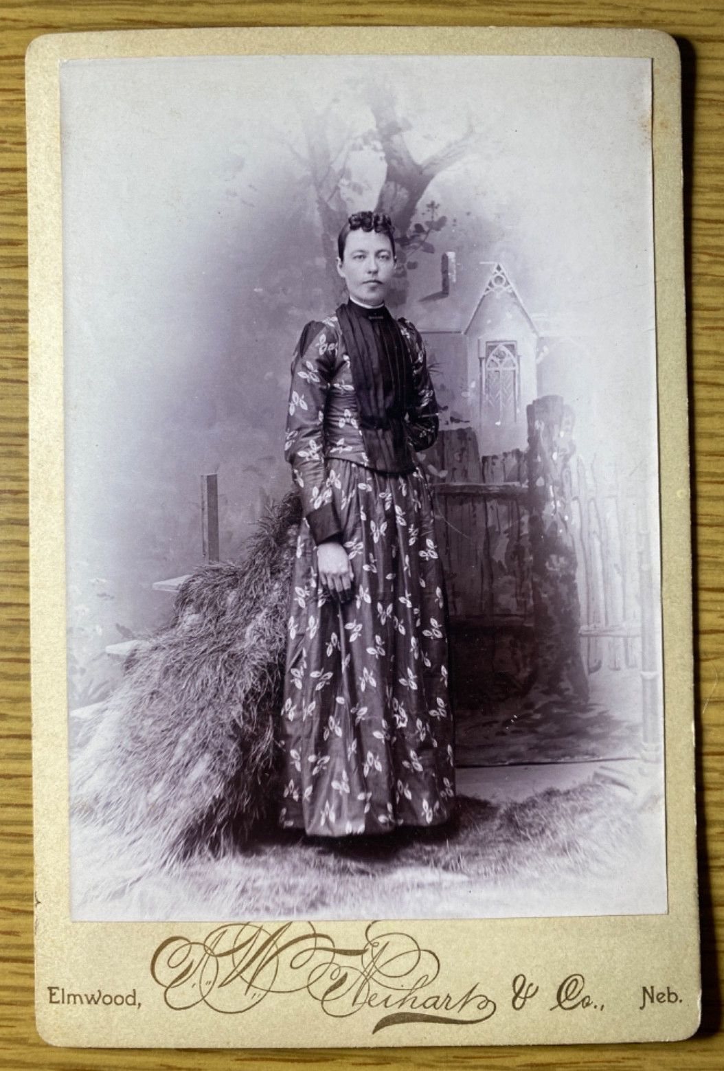 1890 Elmwood Nebraska Harriet Stroup Genealogy Cabinet Card Photo A.W. Neihart