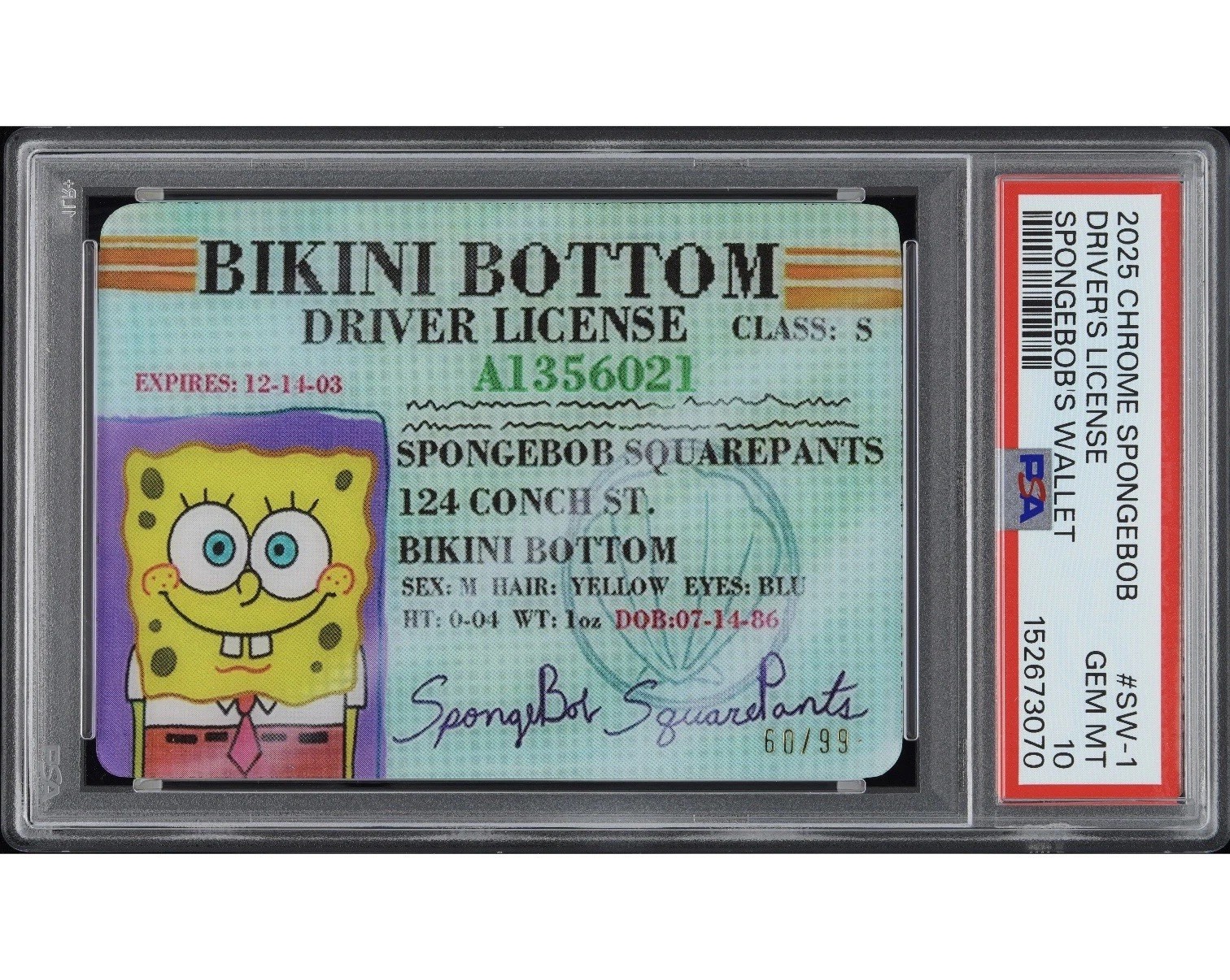 2025 Topps Chrome SpongeBob Driver's License #SW-1 PSA 10 60/99