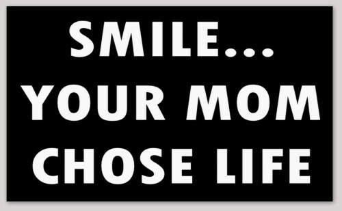 PRO-LIFE BUMPER STICKER DECAL \