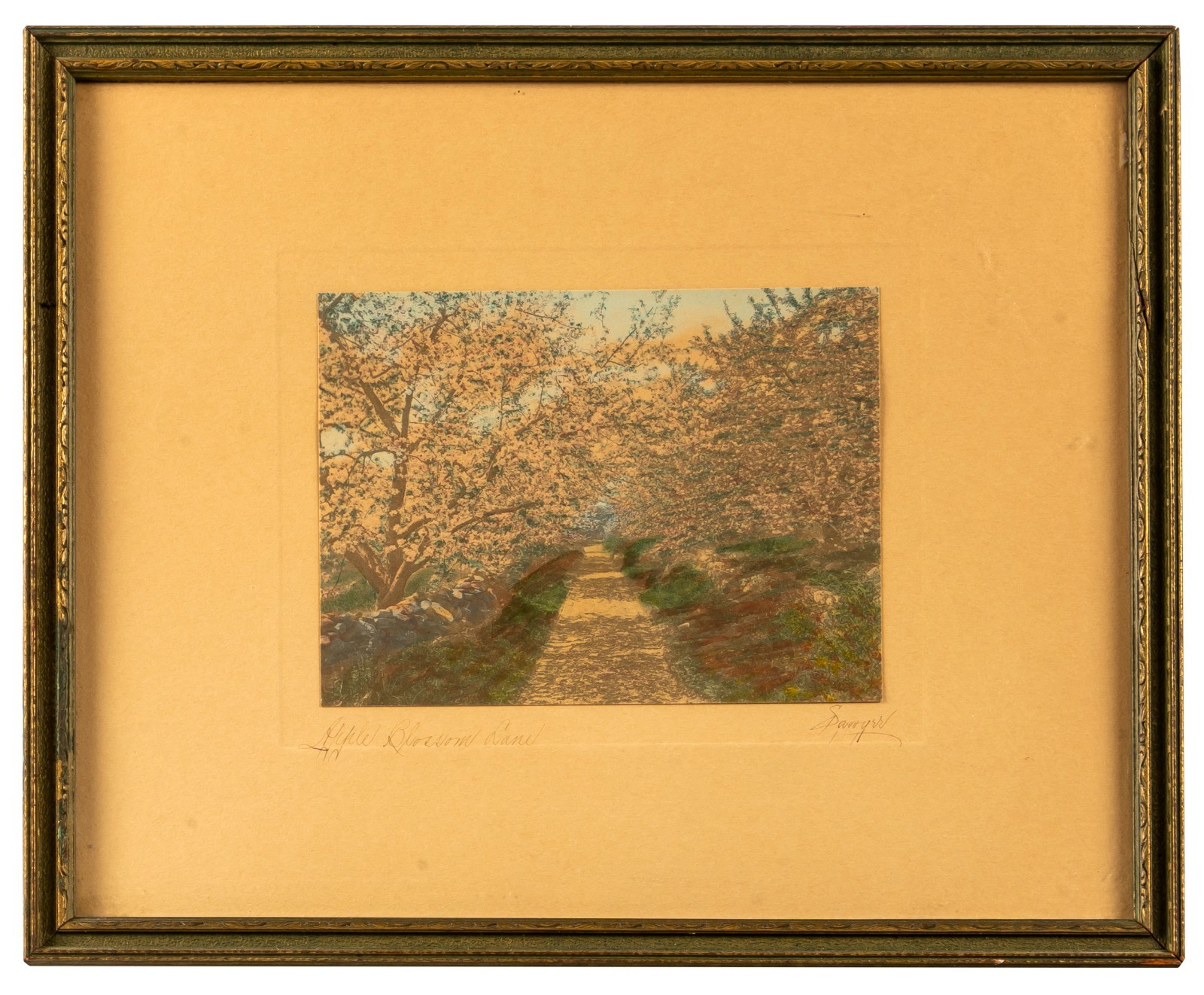 Antique Hand Colored New Hampshire Photograph, Charles Sawyer Apple Blossom Lane