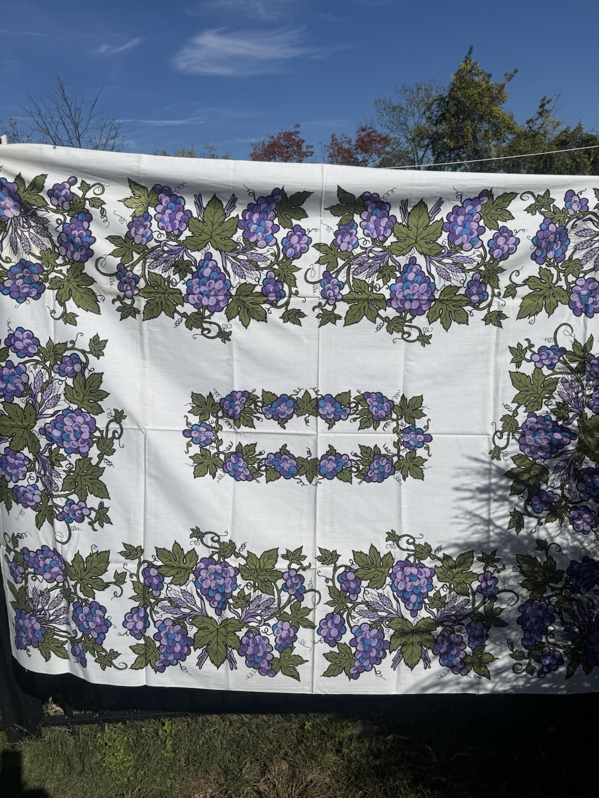 beautiful vintage Fallani & cohn grape And Wheat Tablecloth & 4 napkins