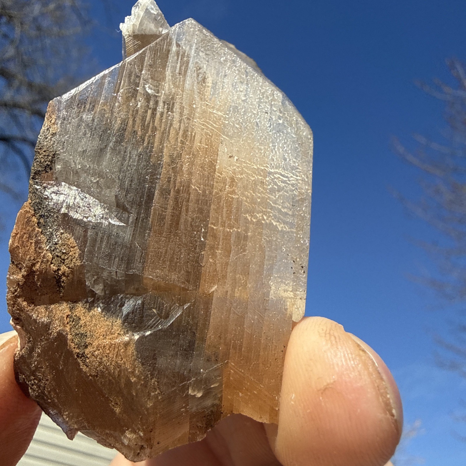 Natural Phantom Selenite W/ Black & Orange  Phantoms👀Minerals QuartzCollector