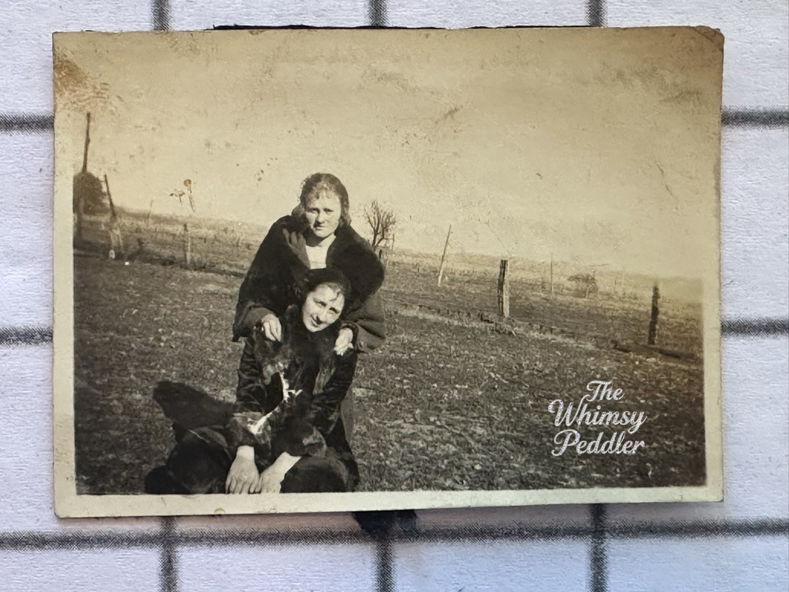 Vintage 1910s Two Women Playful Pose Rural Farm Field Snapshot Photo