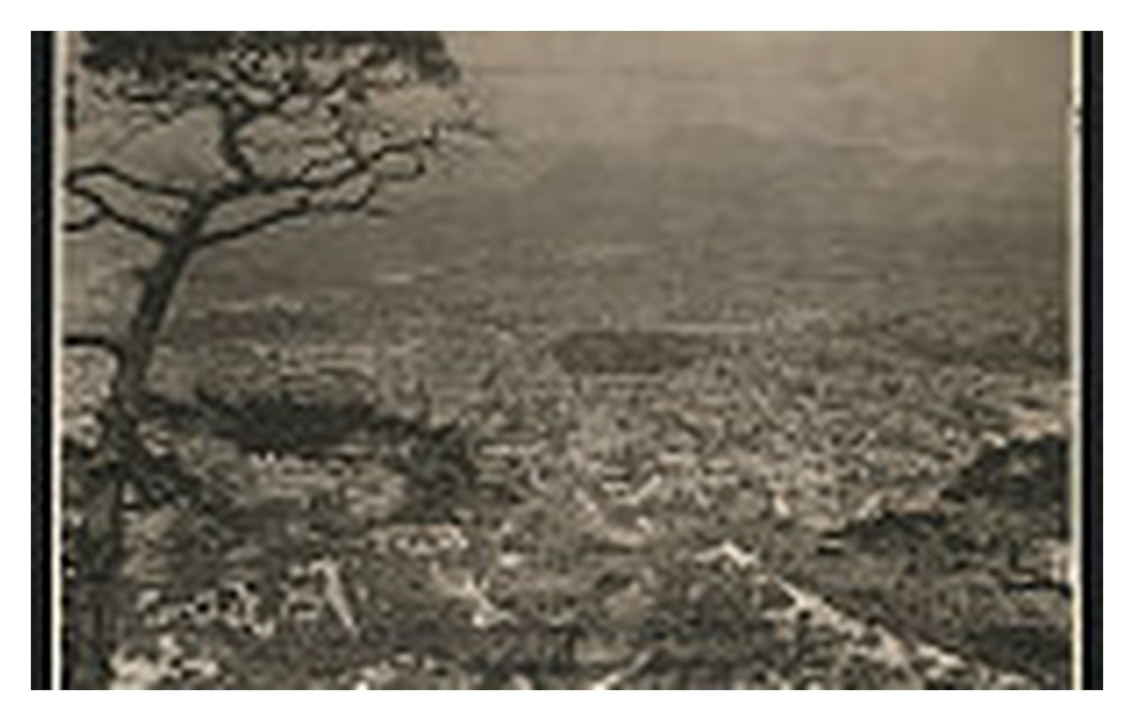 Seoul South Korea Birdseye View Standard Postcard