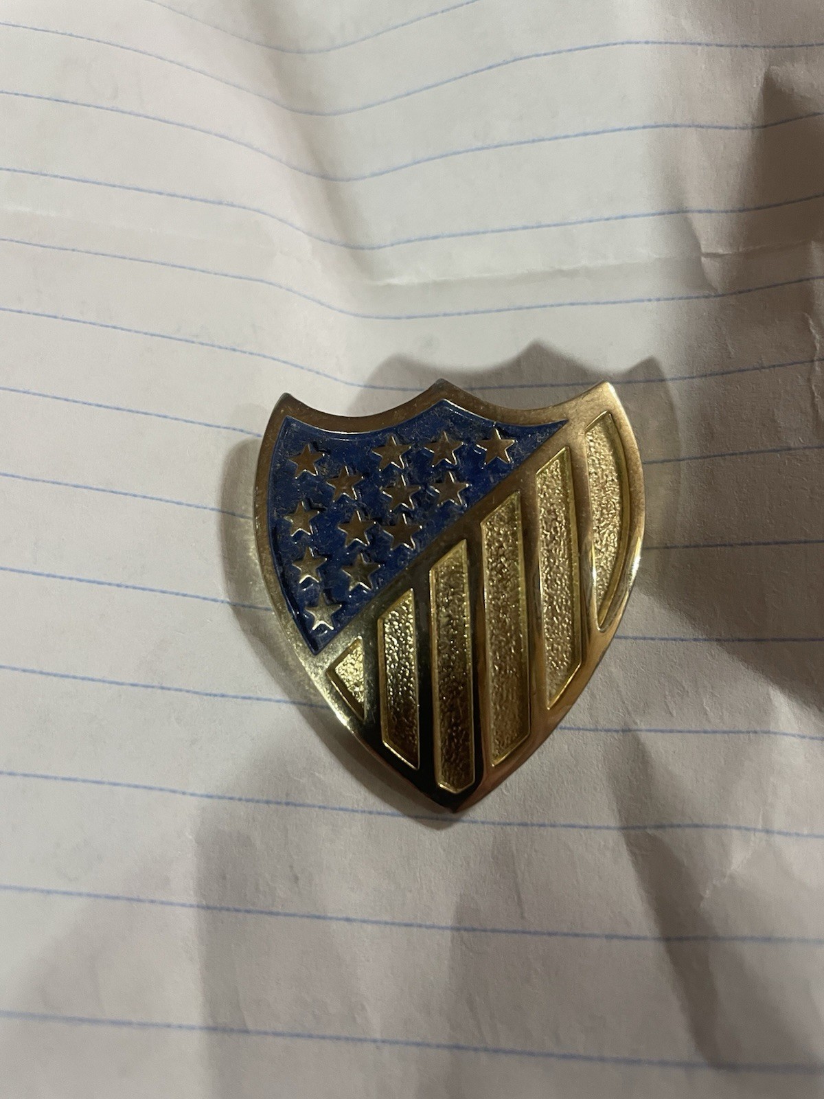 Vintage DAR Shield Pin