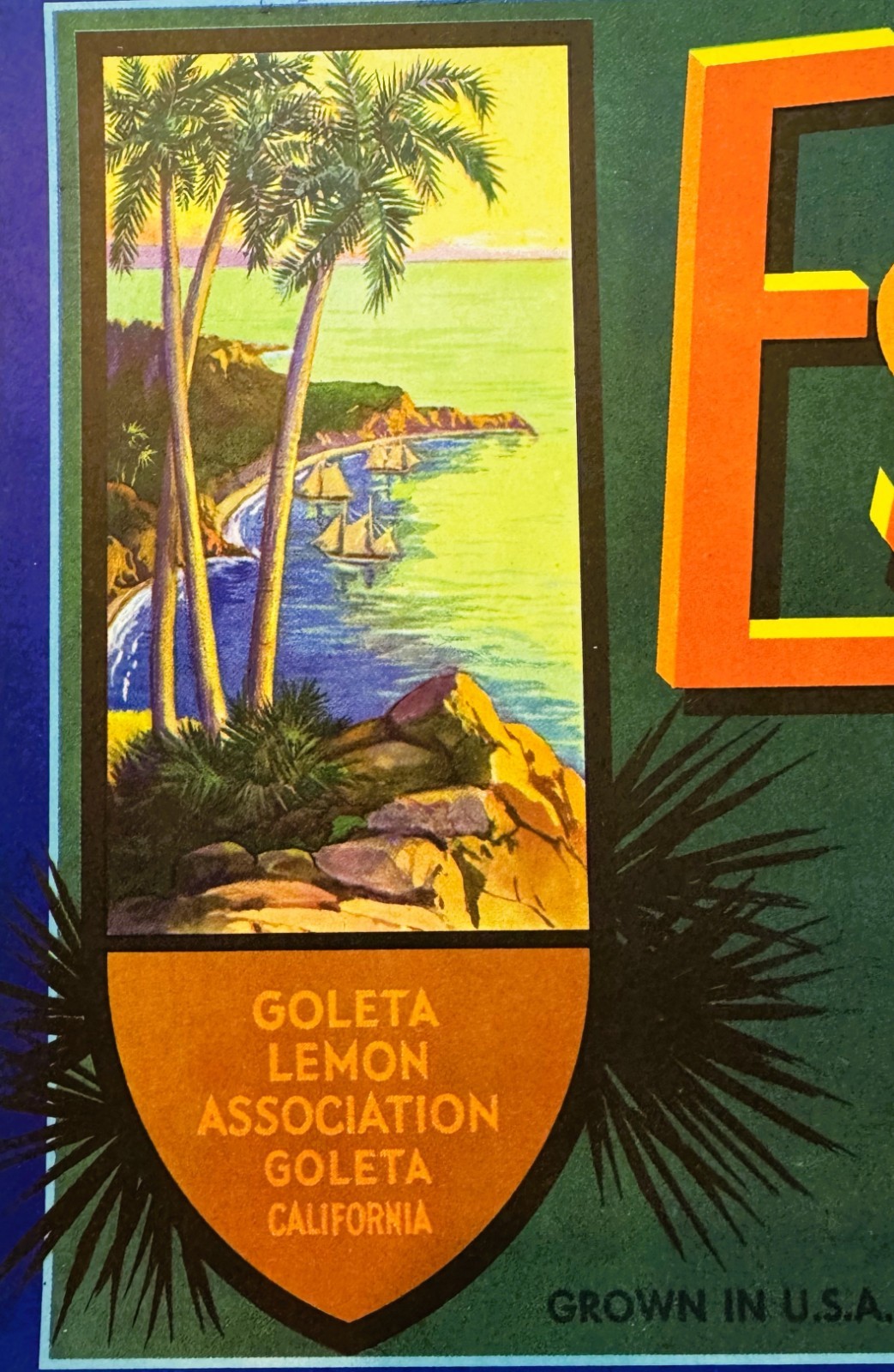1950s Estero Lemons Crate Label Santa Barbara CA 12.25x8.75