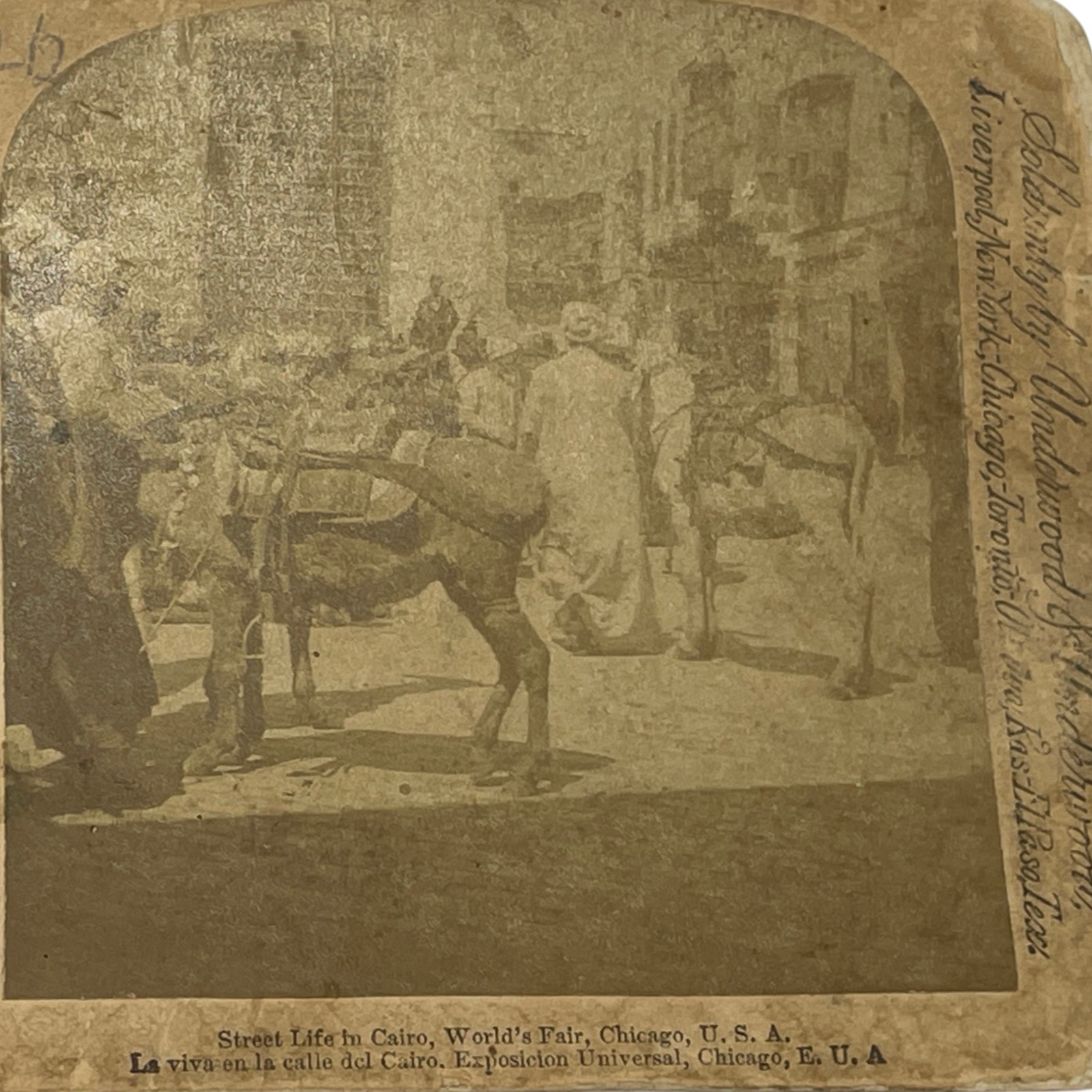 vtg Stereoview Cairo Street Chicago Worlds Fair 1893 Strohmeyer Donkey
