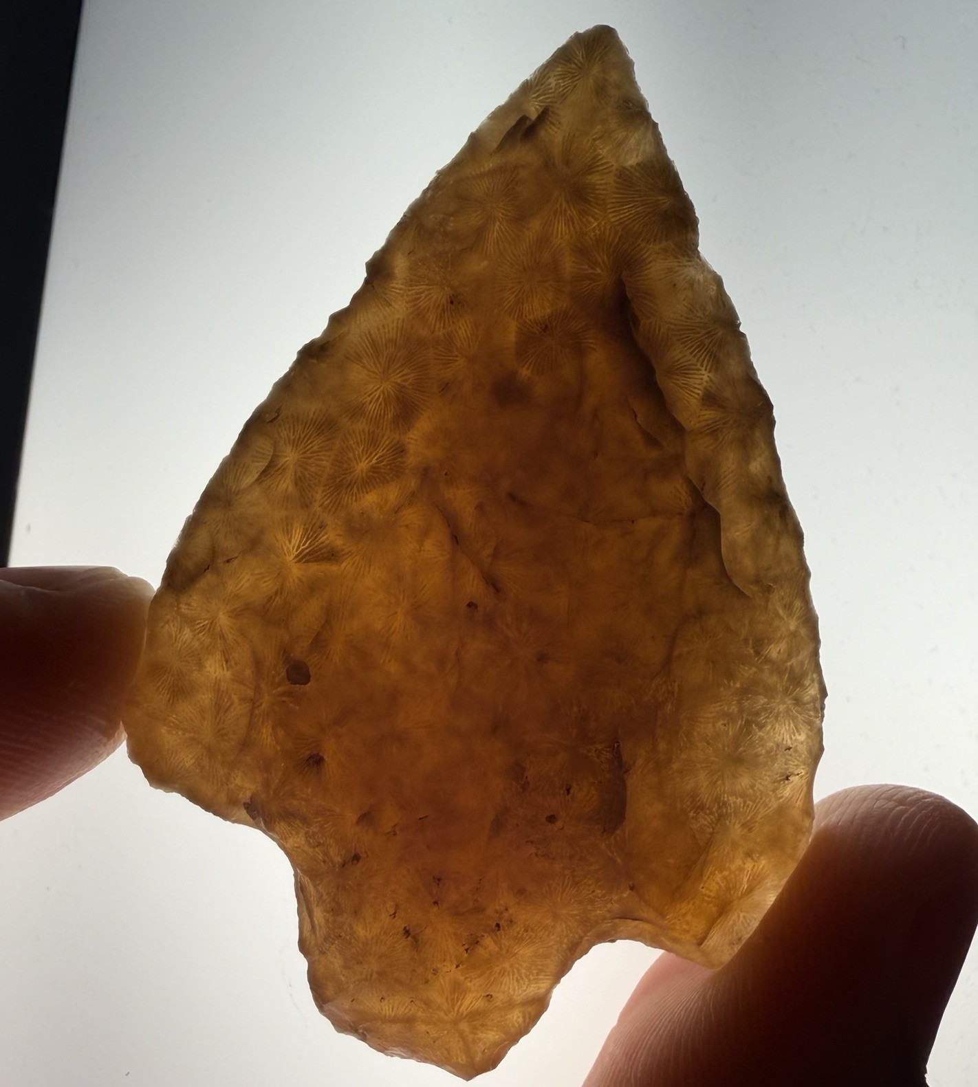 Translucent Corral Arrowhead Central Florida Authentic Artifact 2.28”