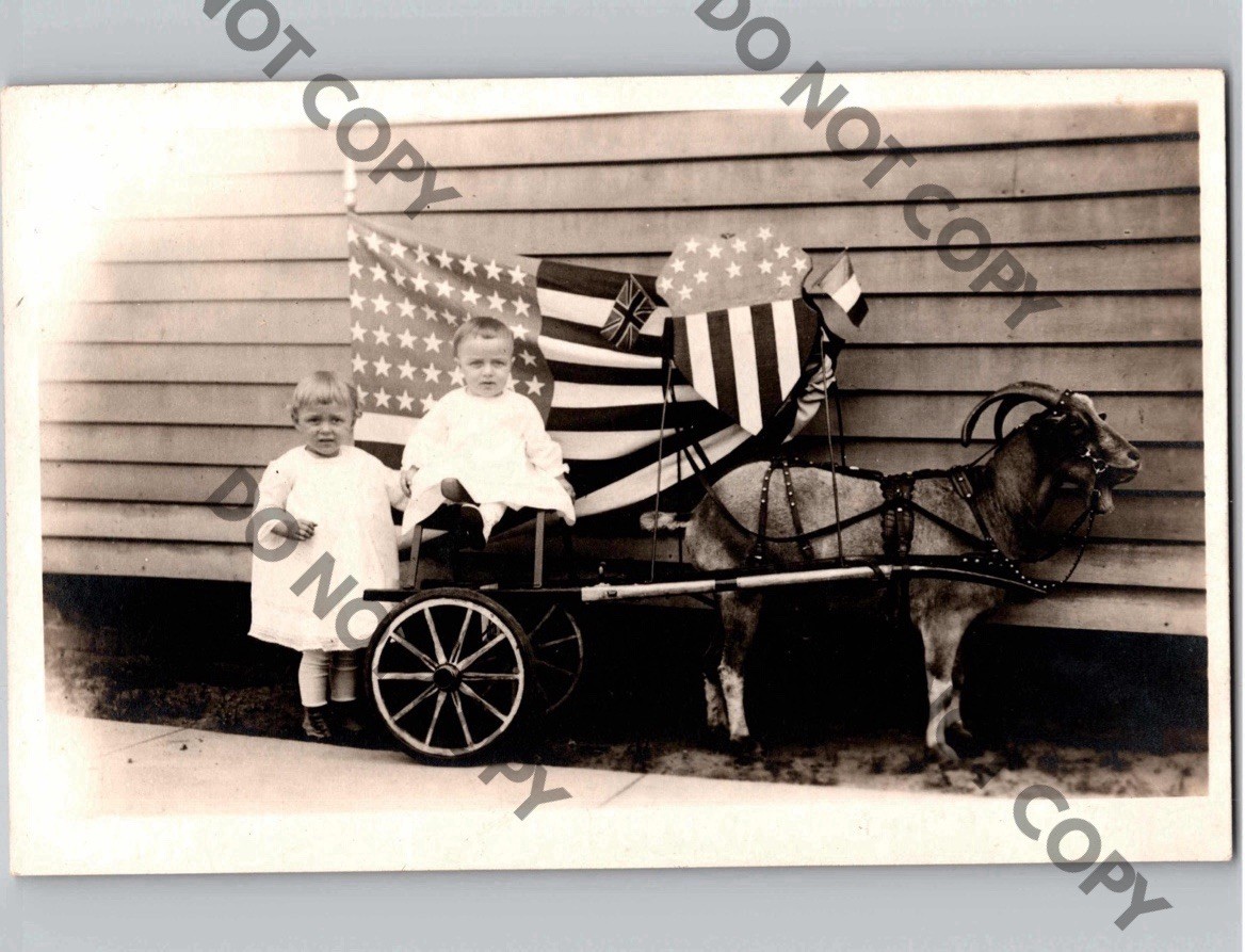 c1910 American Flag England Goat Pulled Drawn Wagon Cute Kids Patriotic RPPC