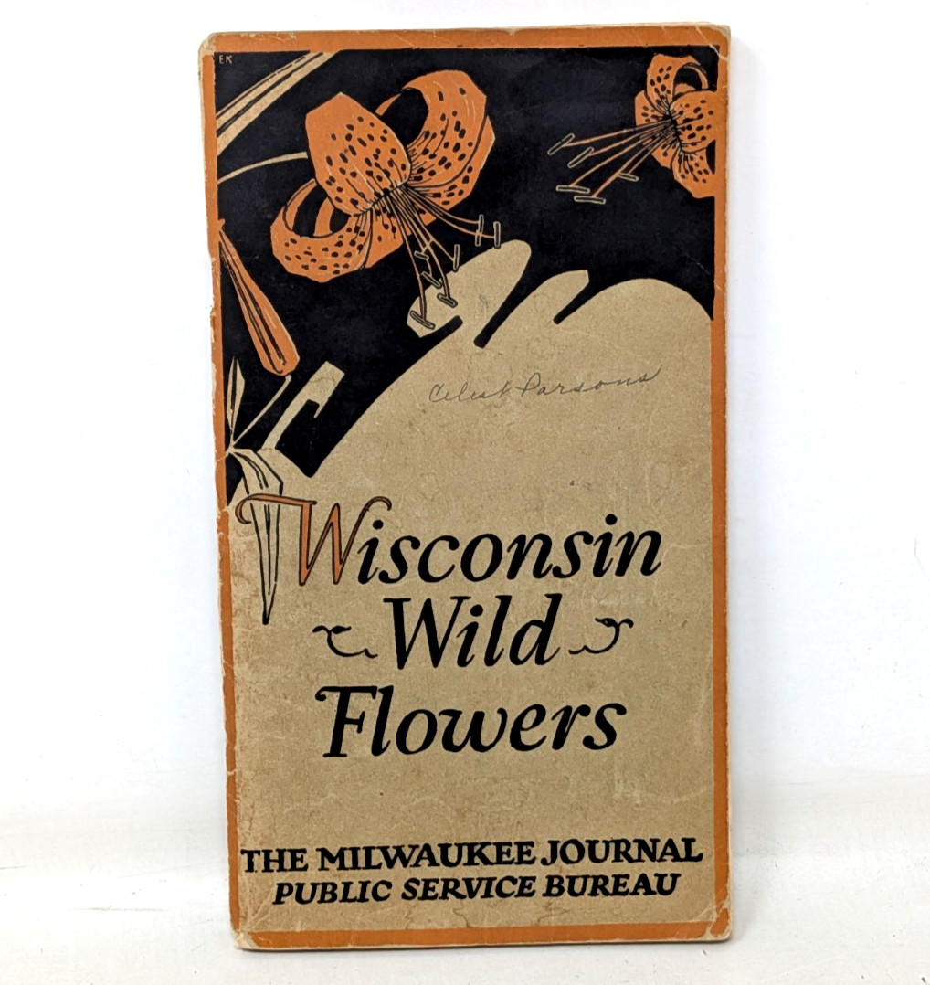 Vintage 1929 Wisconsin Wild Flowers Milwaukee Journal Public Service Bureau