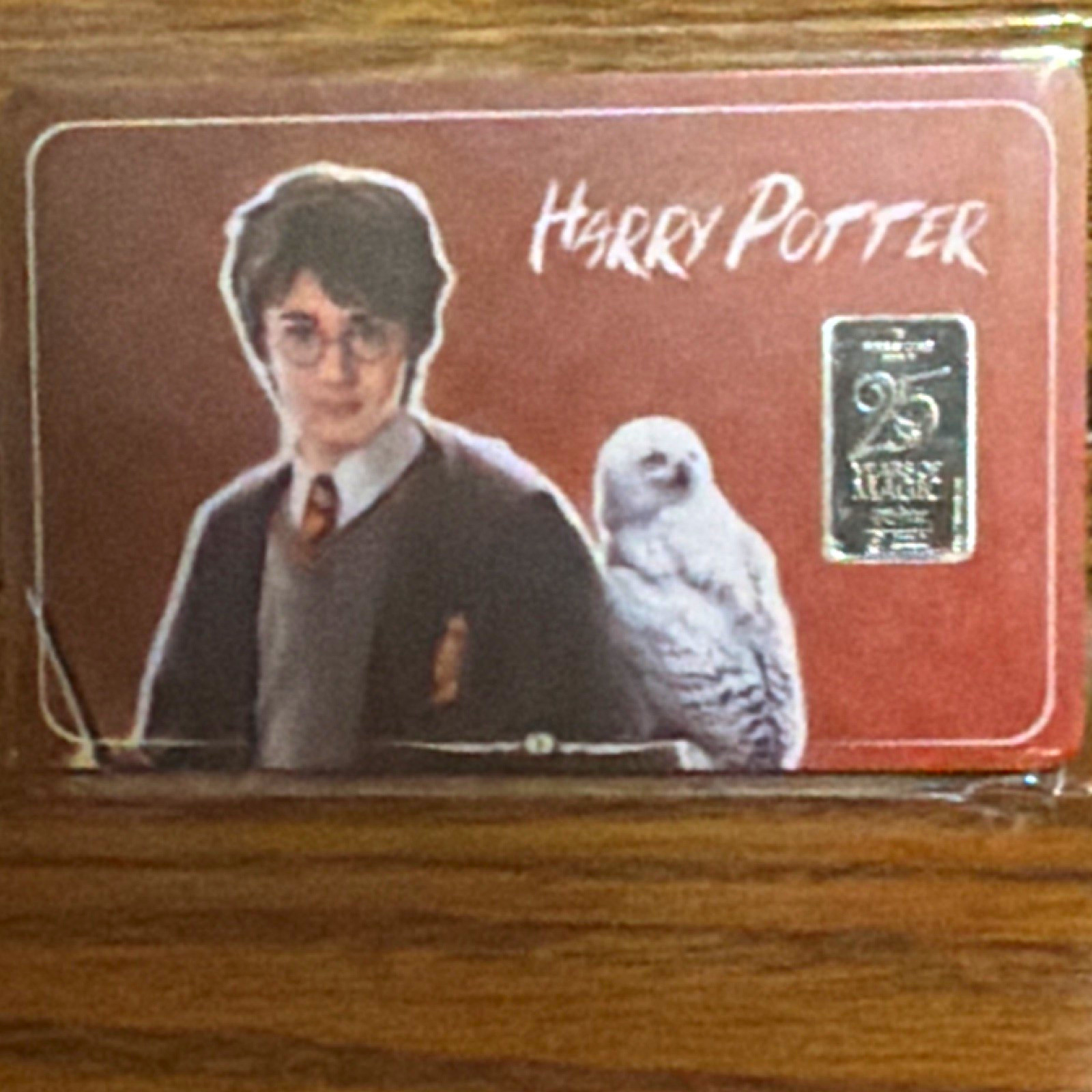Warner Bros. Harry Potter Collectible Card Insert - Harry Potter & Hedwig