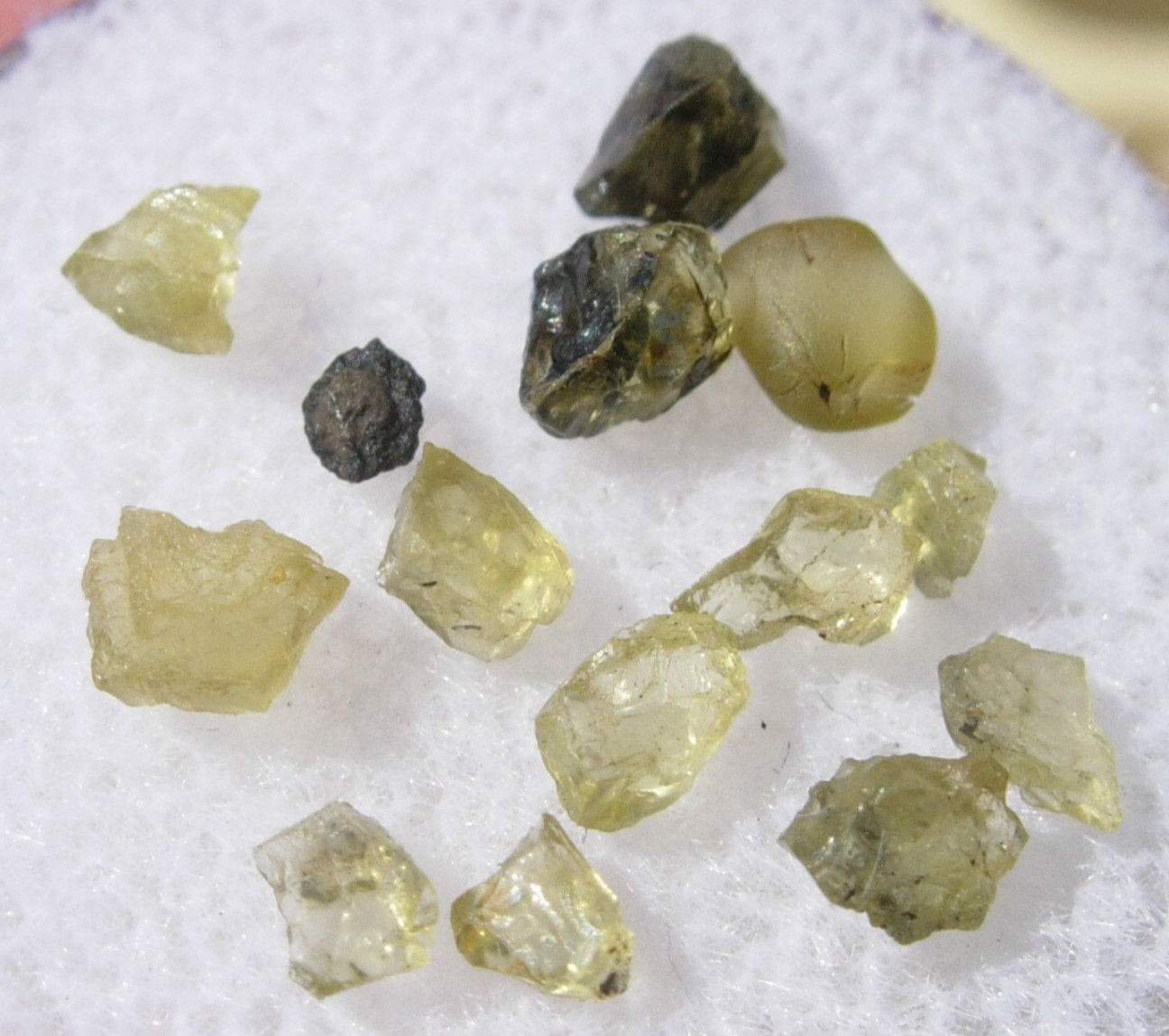 1.85 carats - you get them all - small ADMIRE Pallasite meteorite fragments COA