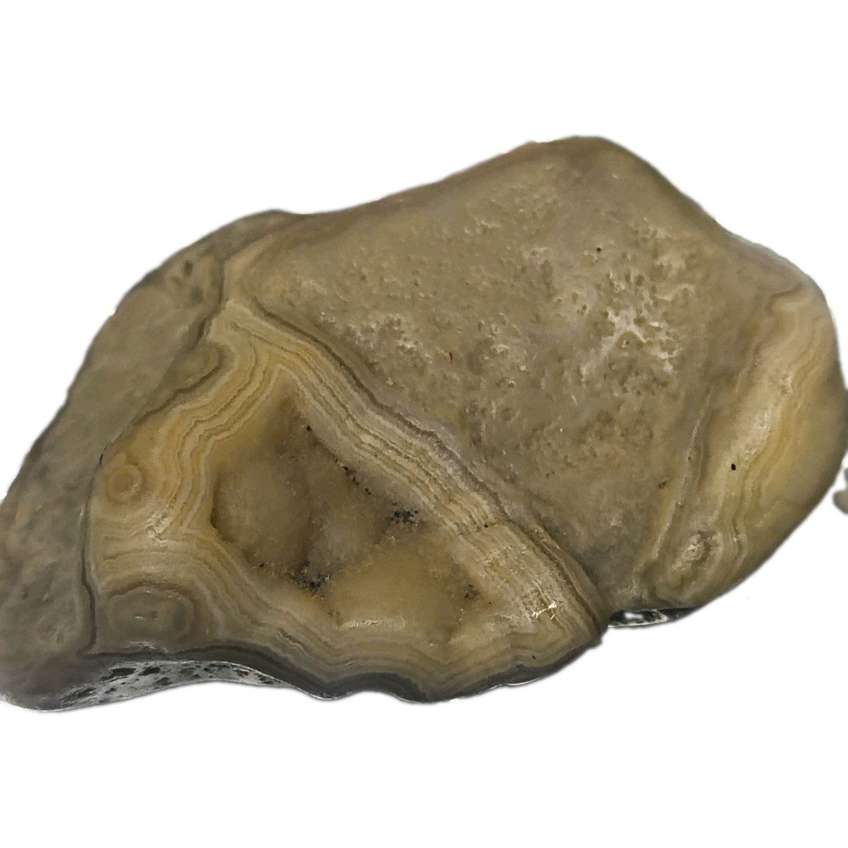 Natural Rough Agate Specimen Grey Rare Tennessee Memphis Mineral