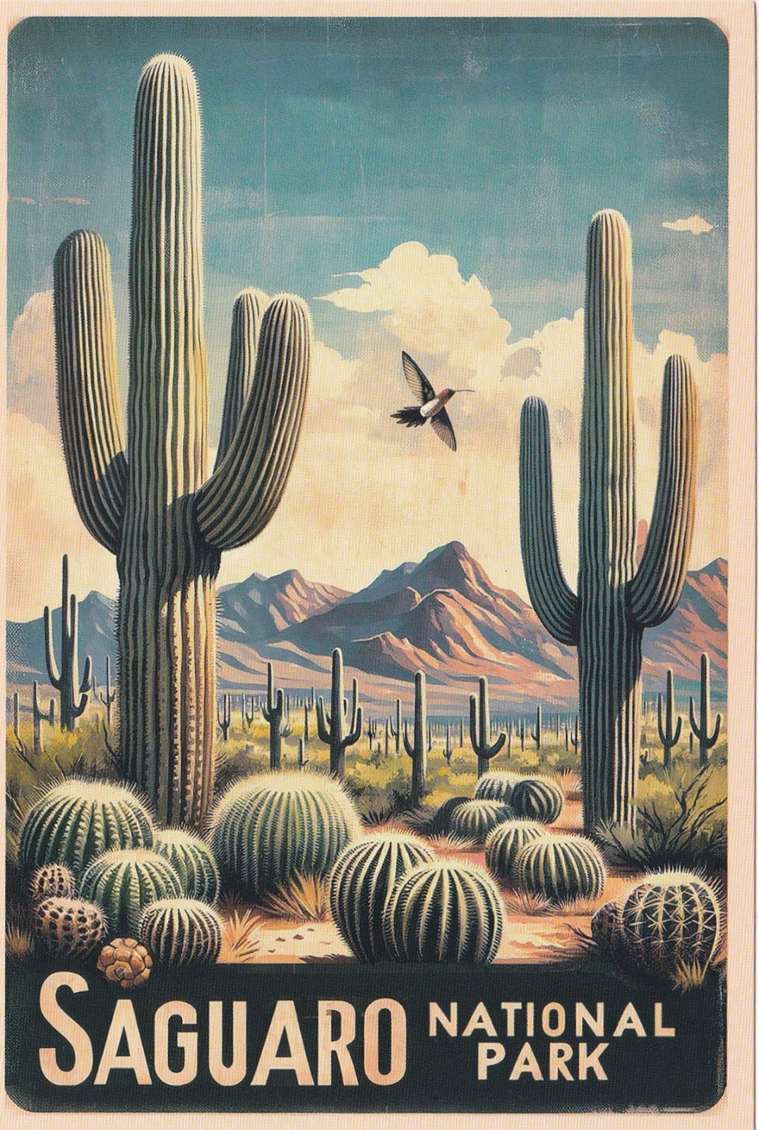 Saguaro National Park Arizonia Art Poster Postcard