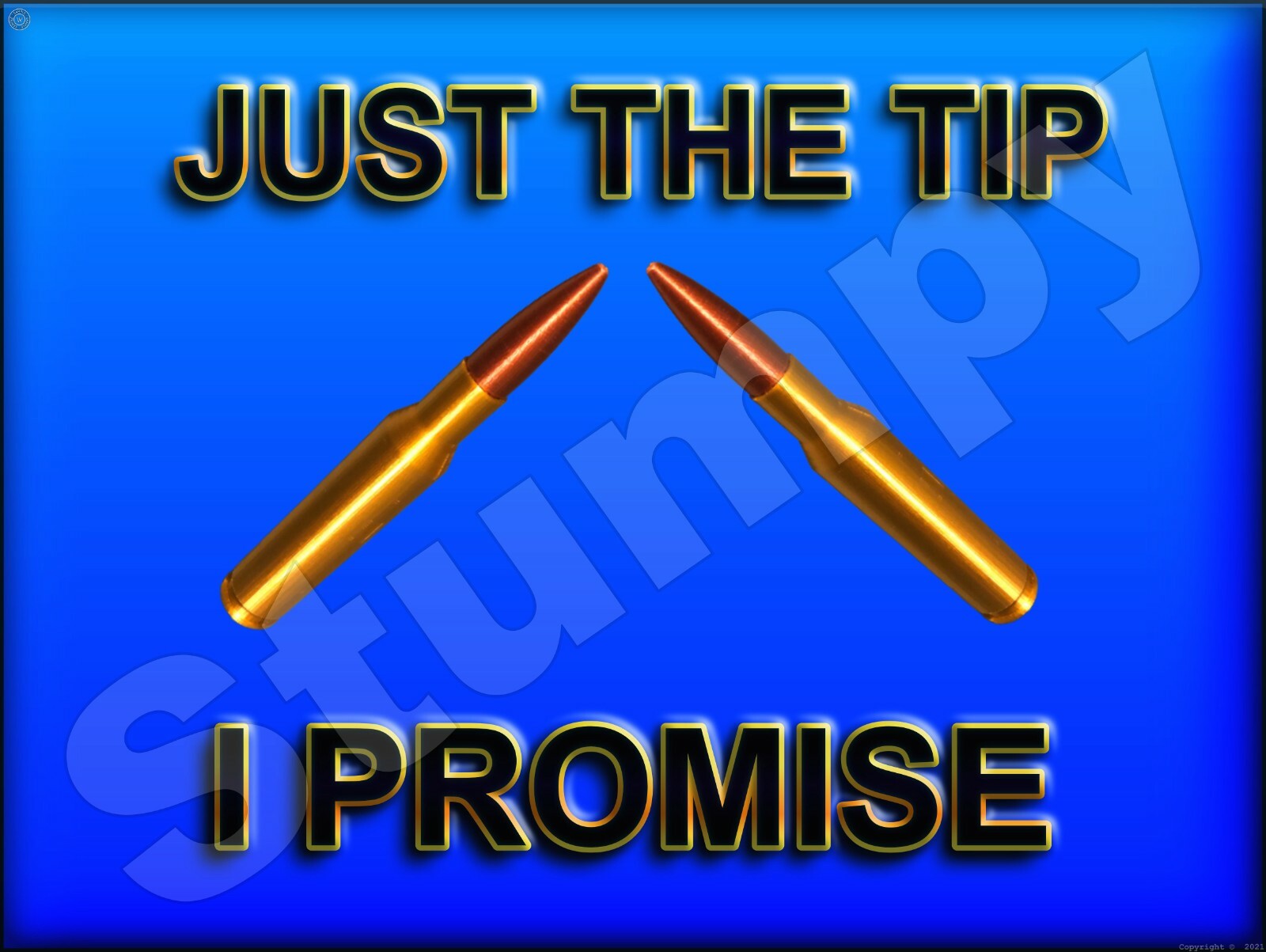 Just The Tip I Promise Metal Sign 9