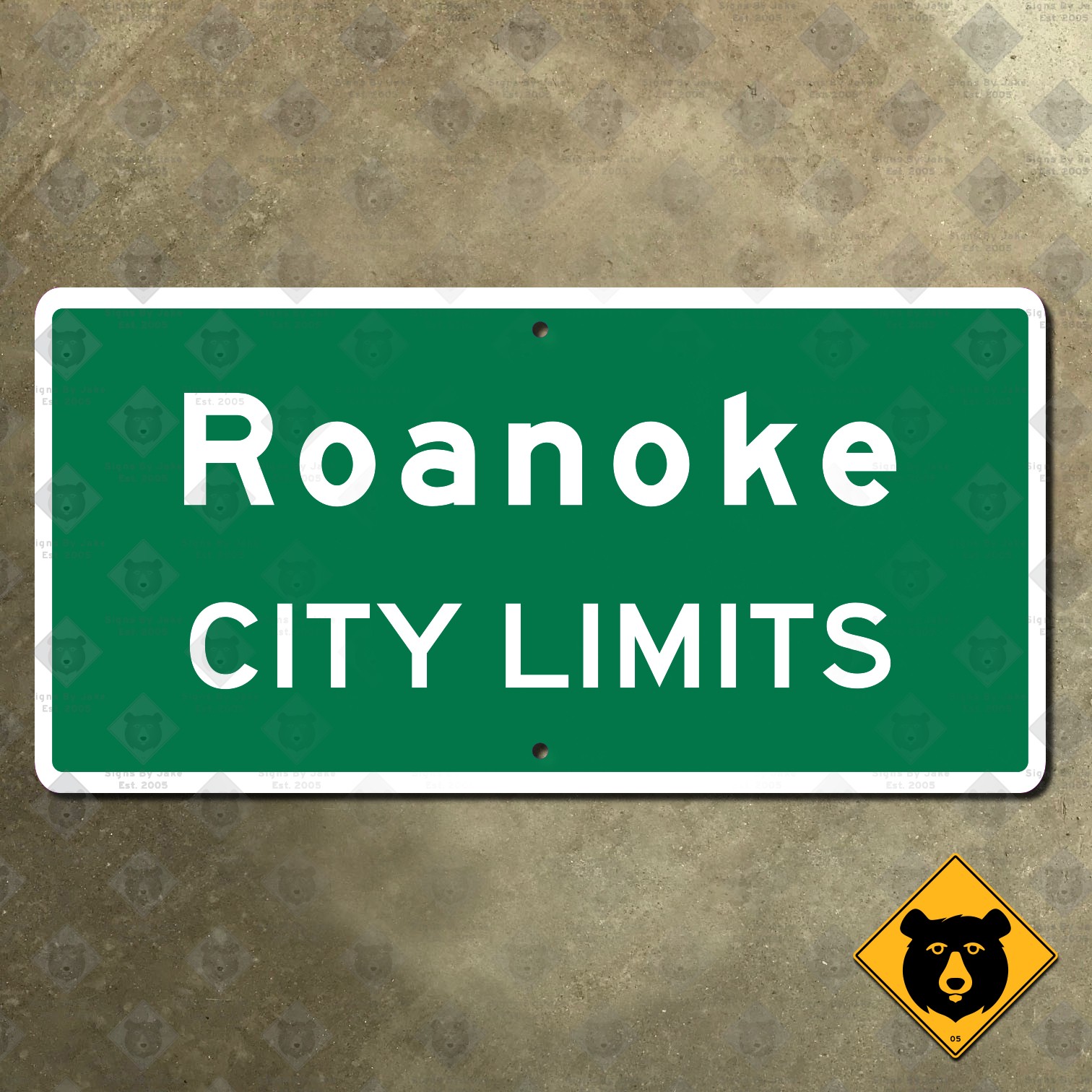 Roanoke Virginia city limits highway road sign 2015 marker boundary 16x8