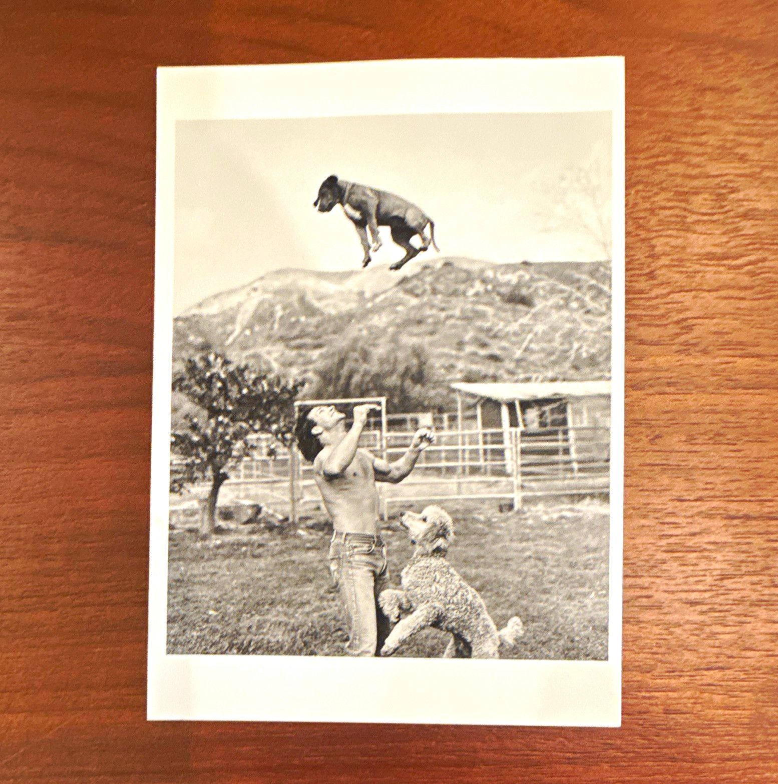 Bruce Weber 1985 Patrick Swayze Postcard