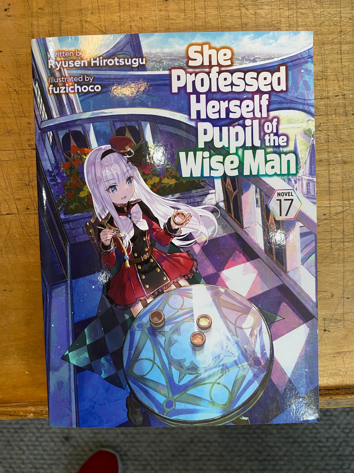 She Professed Herself Pupil of the Wise Man (Light Novel) Vol. 17