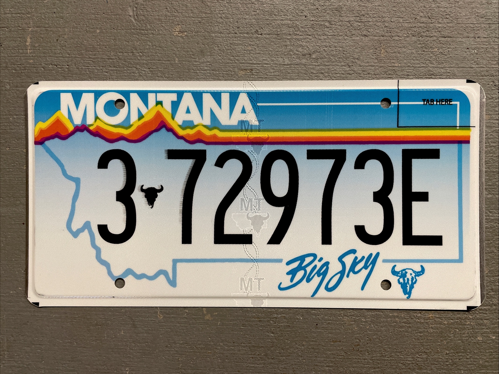 VINTAGE MONTANA LICENSE PLATE BIG SKY RAINBOW RANDOM LETTERS/NUMBERS FAIR COND.