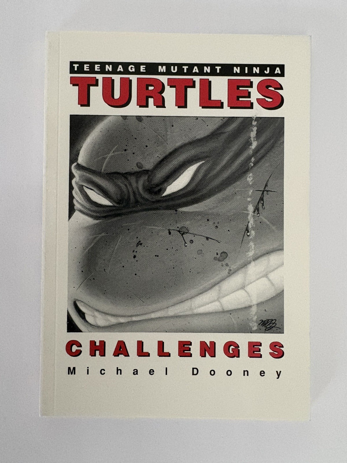 Teenage Mutant Ninja Turtles: Challenges 1991 Mirage Dooney Rare Recalled Error