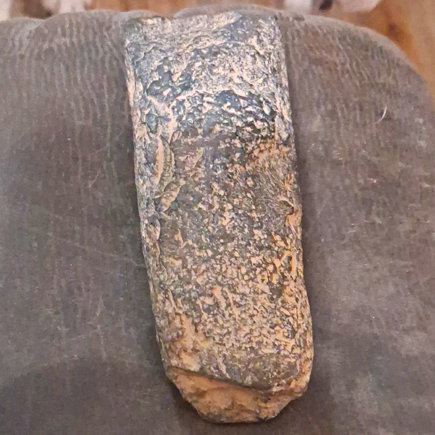 celt, a prehistoric tool typically used for woodworking or clearing land/axe
