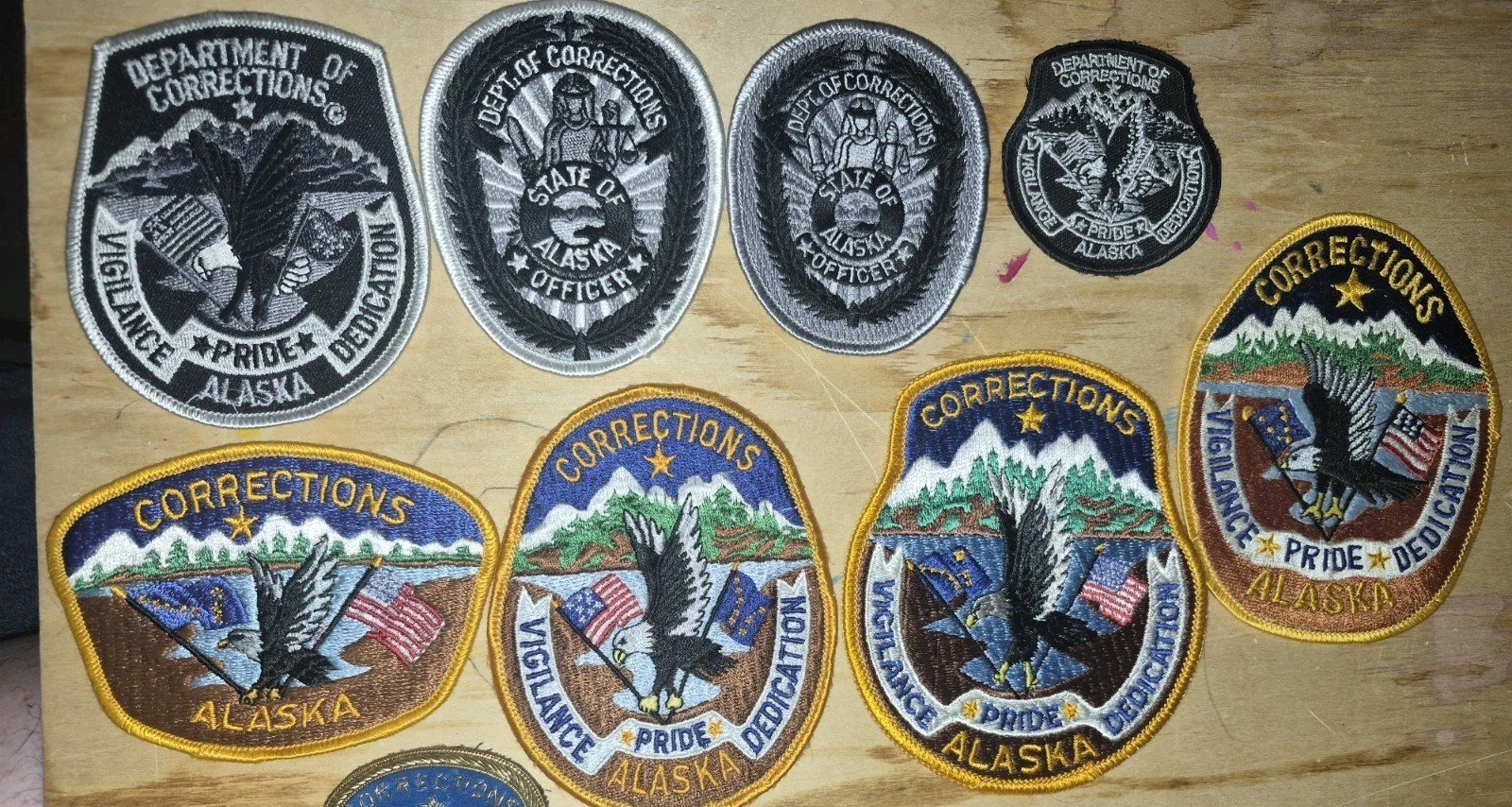 Patch ~ ALASKA AK DOC CORRECTIONS VERY RARE TRAINING BULLION VEST/HAT SET/11