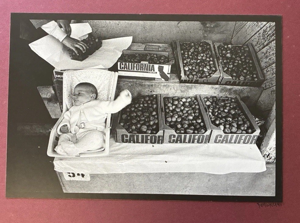 California Baby Strawberry Produce Market  Vintage 1971 Photo Signed Neal White