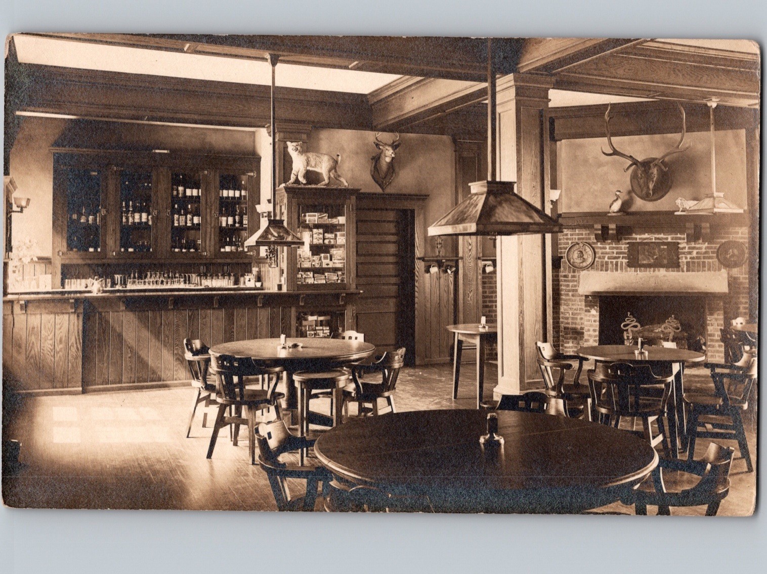 c1910 Pre Prohibition Saloon Interior View Bar Cigars Taxidermy RPPC Real Photo