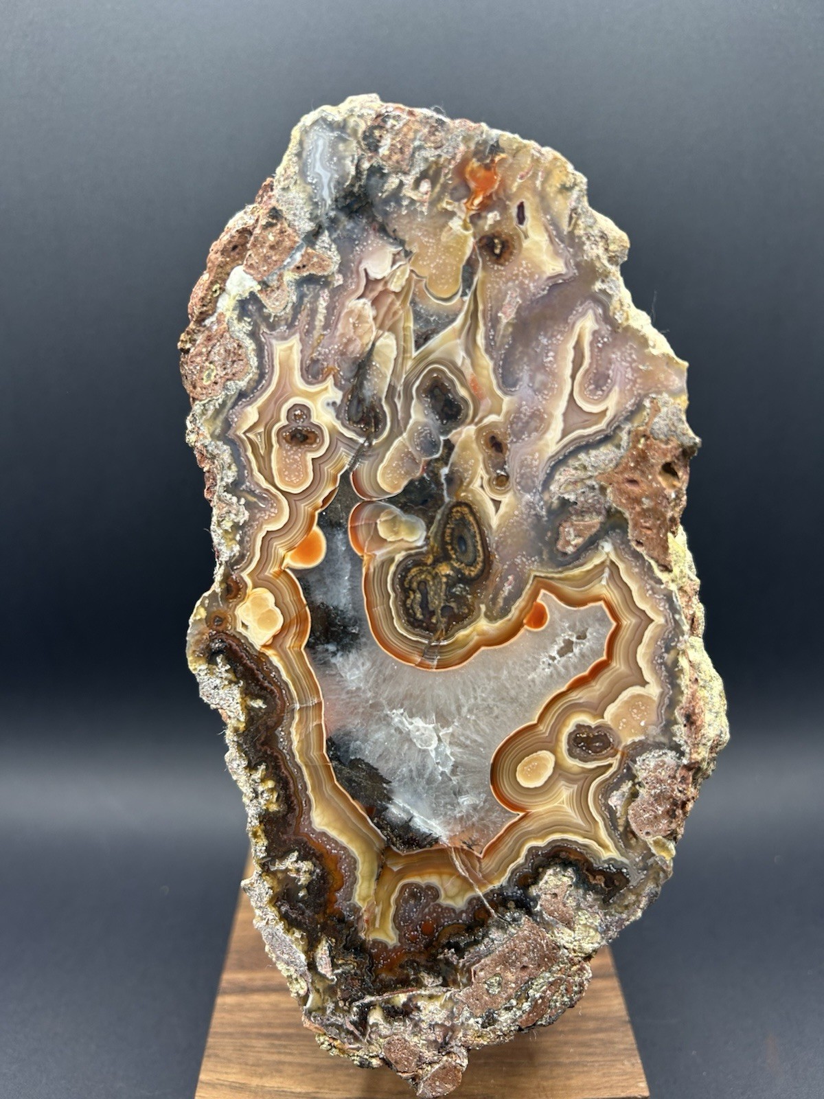 Unique “Headless Chicken” Laguna Agate Large Polished Half Incredible Banding