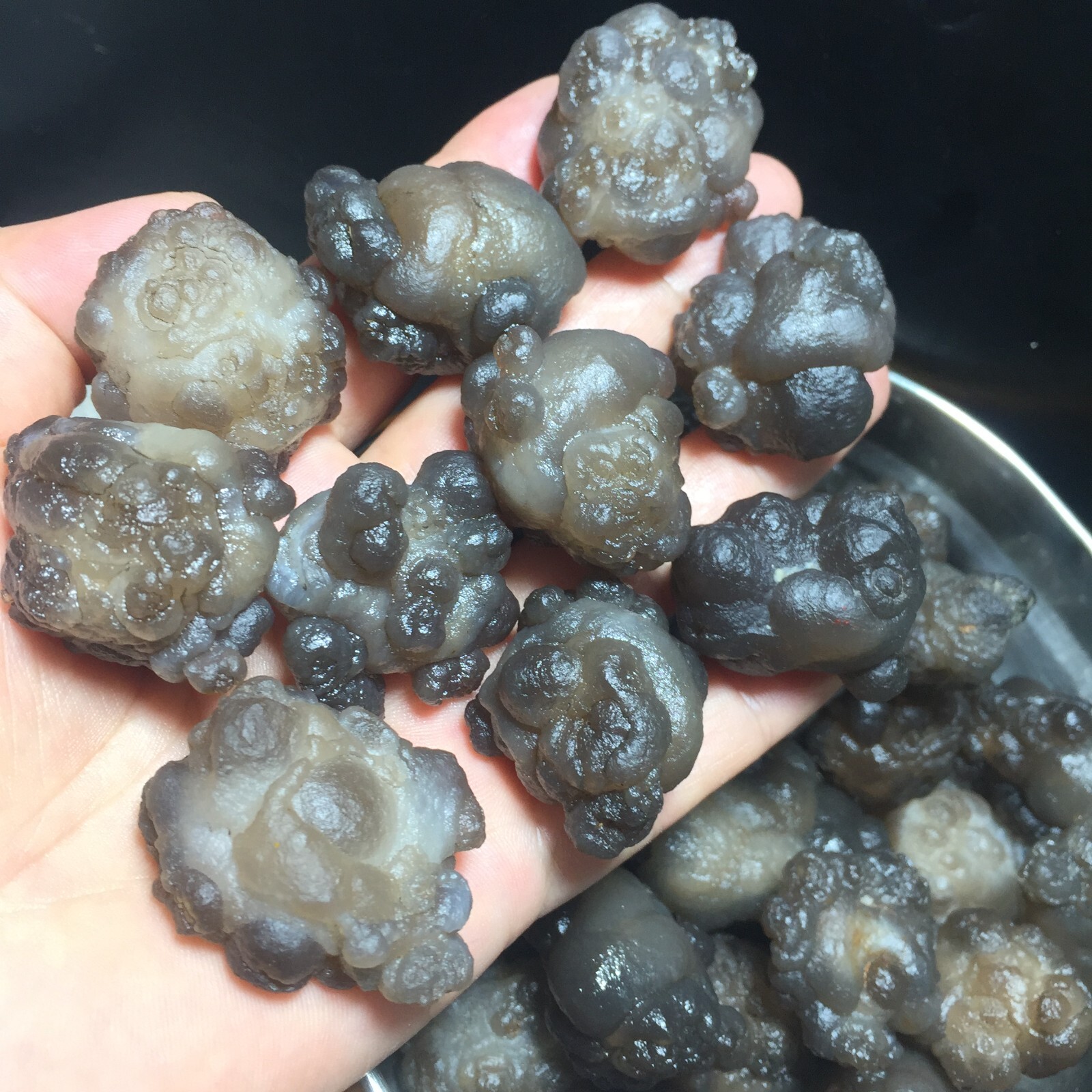 1000g 50pcs Natural Bonsai Suiseki-Gobi Agate panda Eyes Stone-Rare Stunning 01