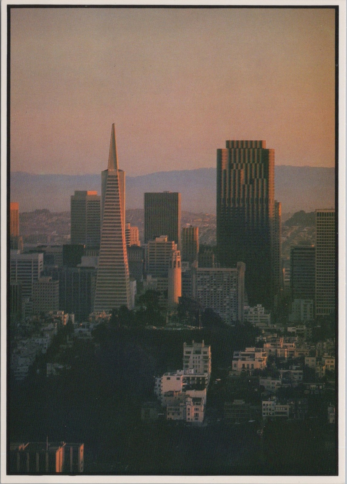 San Francisco California CA San Francisco skyline featuring Coit Postcard