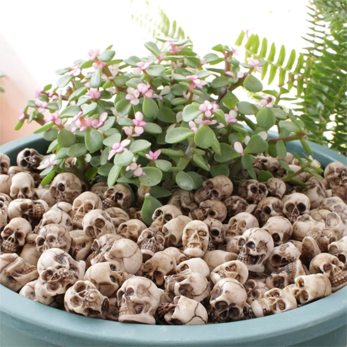 20PCS Mini Skull Figures Halloween Miniature Skulls Garden Decor