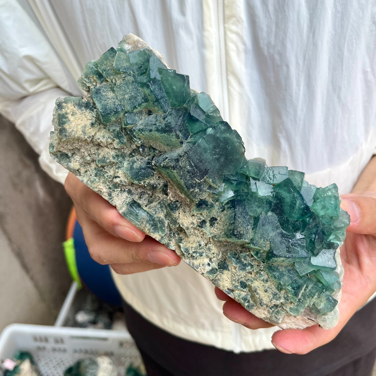 3LB NATURAL Green Cube FLUORITE Quartz Crystal Cluster Mineral Specimen
