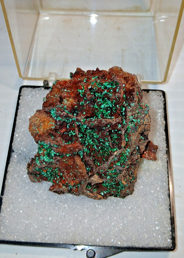 Malachite Crystals on Cuprite Matrix Mineral Specimen Shiny Green Vug Pocket
