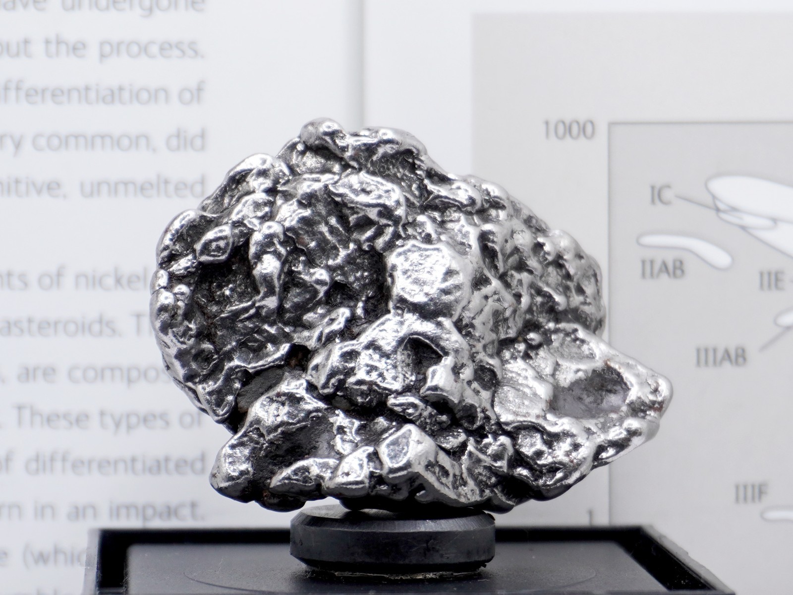 Authentic Campo del Cielo Meteorite | Certified Iron Space Rock from Argentina