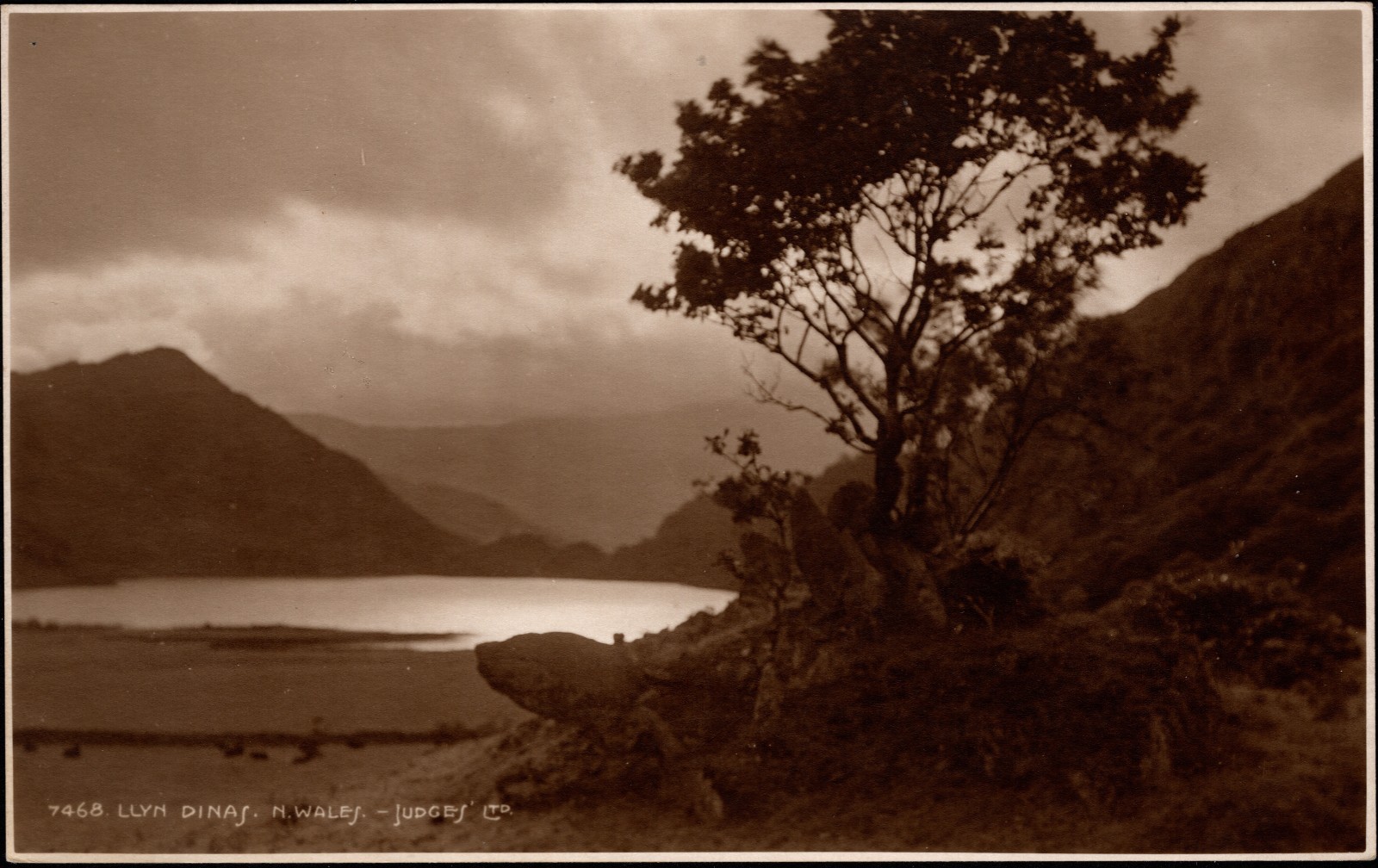 Llyn Dinas North Wales Judges Ltd Hastings RPPC