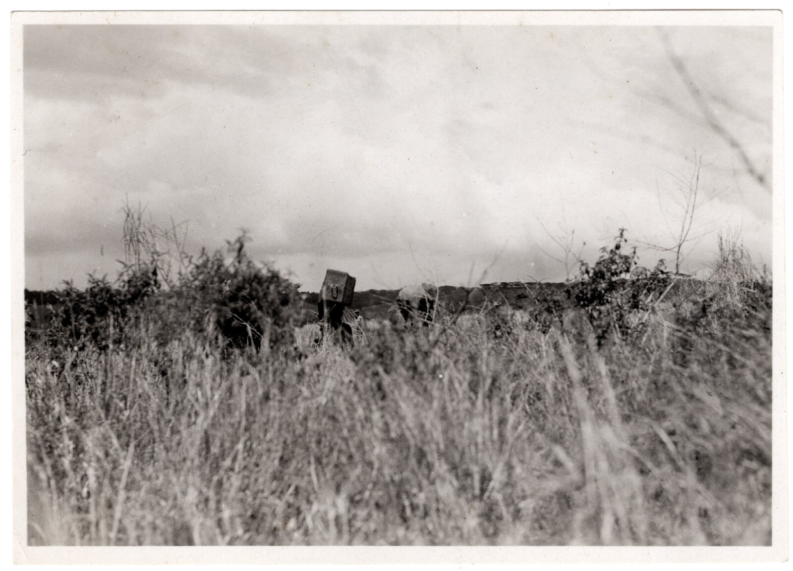 RARE 1933-1934 African Safari Photograph Taken & Annotated by Ernest Hemingway