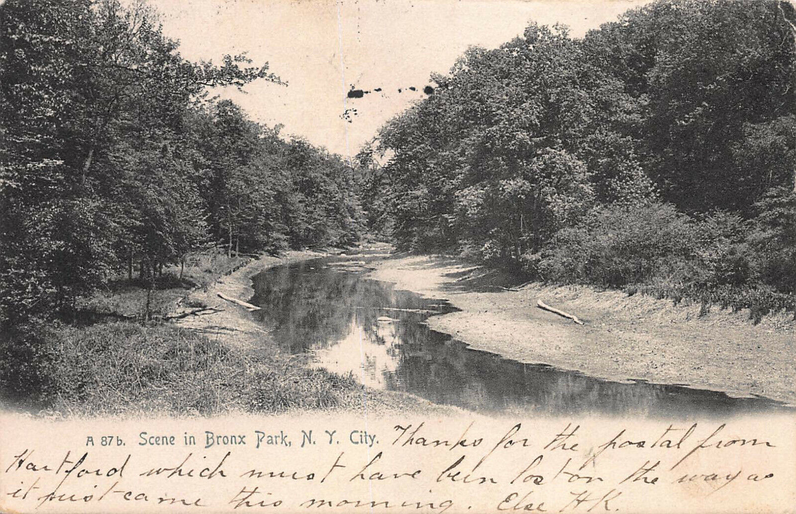 Scene in Bronx Park, Bronx, N.Y.C., Early Postcard, Used in 1906, Forwarded