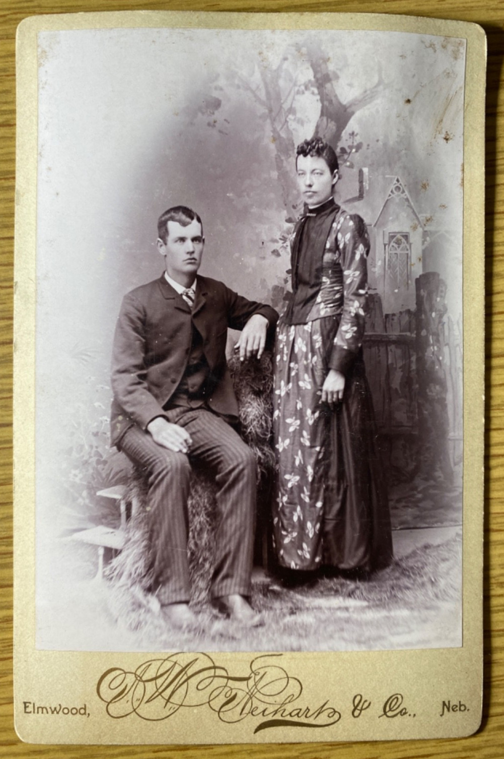 1890 Elmwood Nebraska Wilson Harriet Stroup Genealogy Cabinet Card Photo Neihart