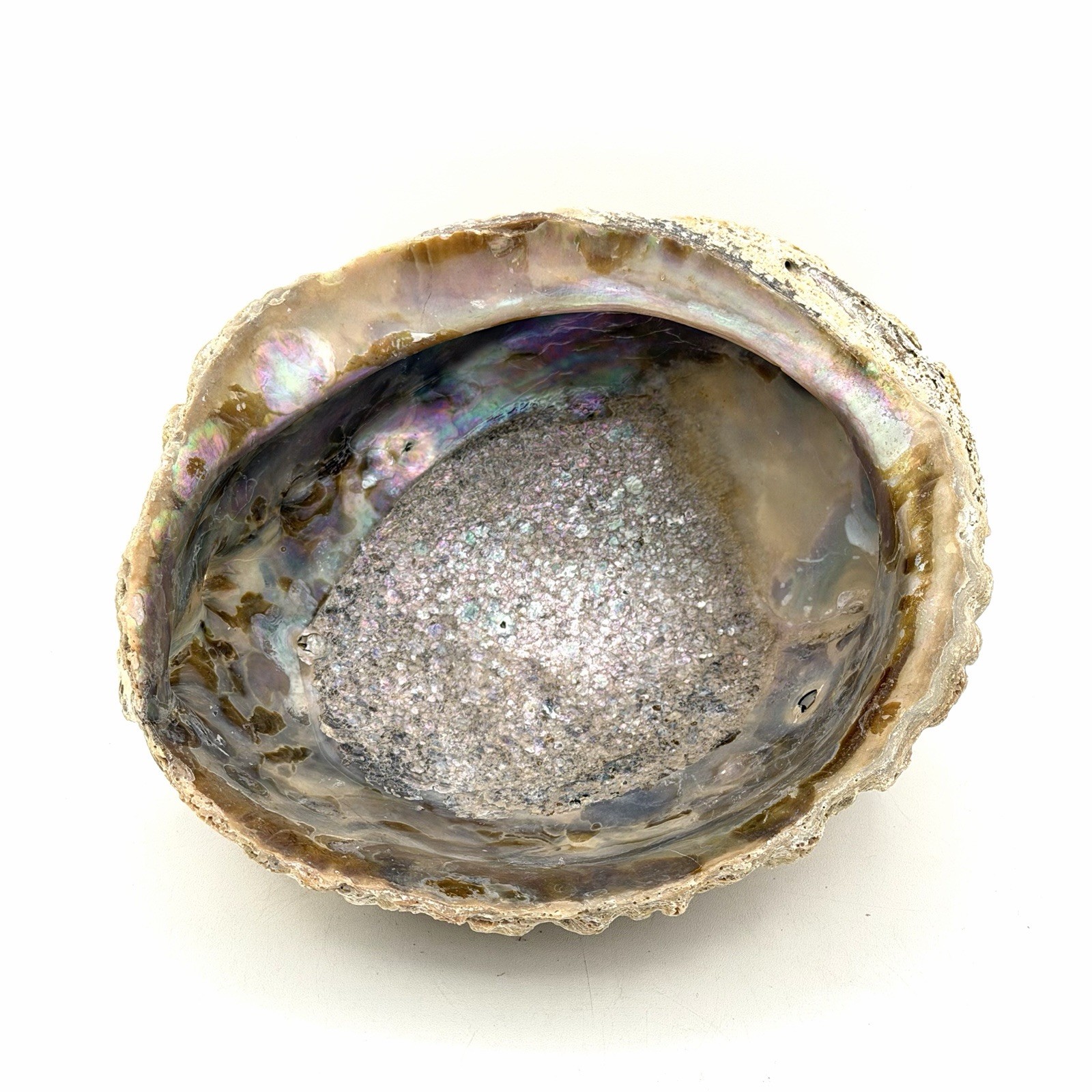 Vintage Large Abalone Dish Natural Sea Shell 6 X 6 Inch Trinkets Soap Dish