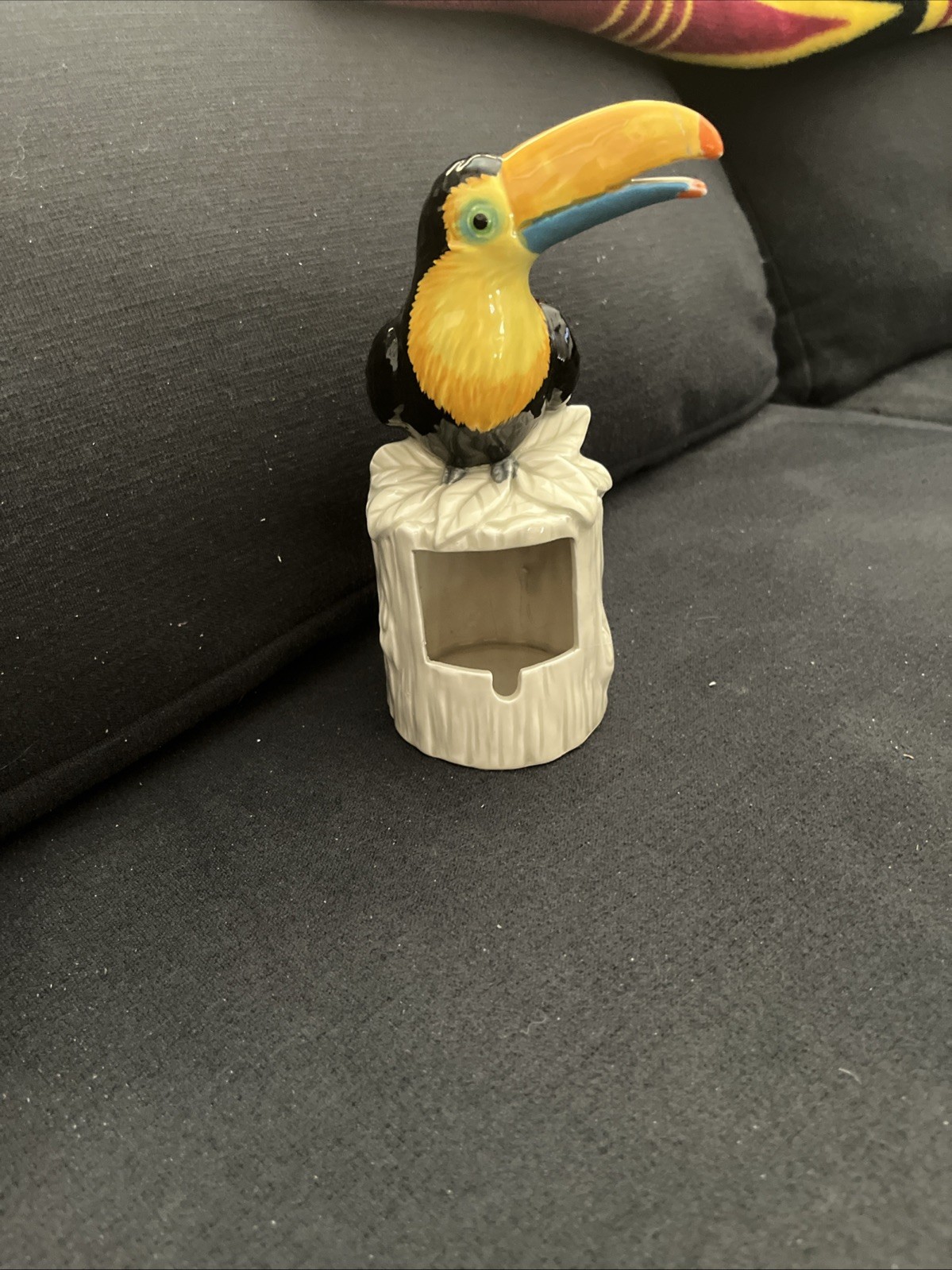 Toucan