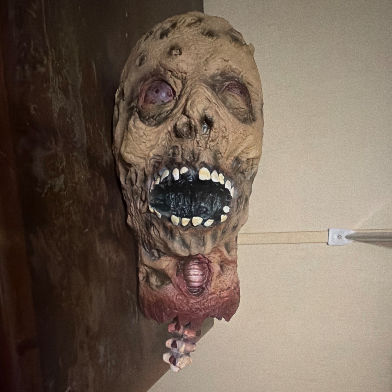 Life Size Zombie Severed Head Prop Halloween Haunted 🏠 Walking Dead Gory 13.5