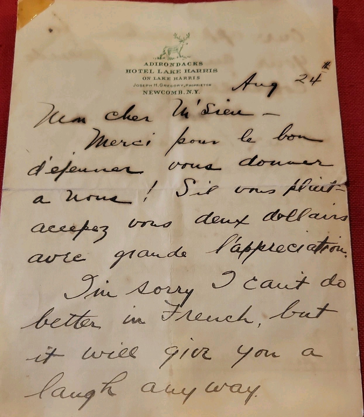 Vtg Lake Harris House Hotel,Newcomb NY Adirondack hand written note  stationary 