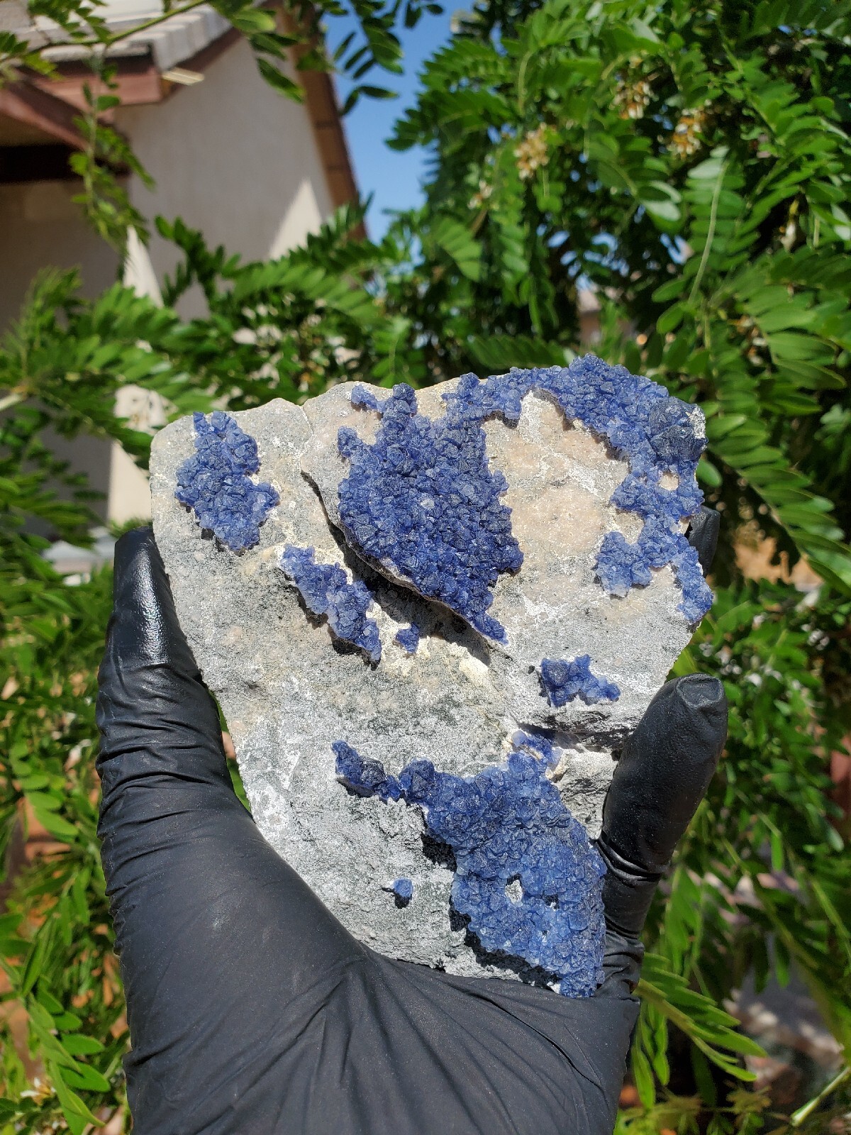 Deep Blueberry FLUORITE Quartz Crystal Cluster Mineral Specimen 374g