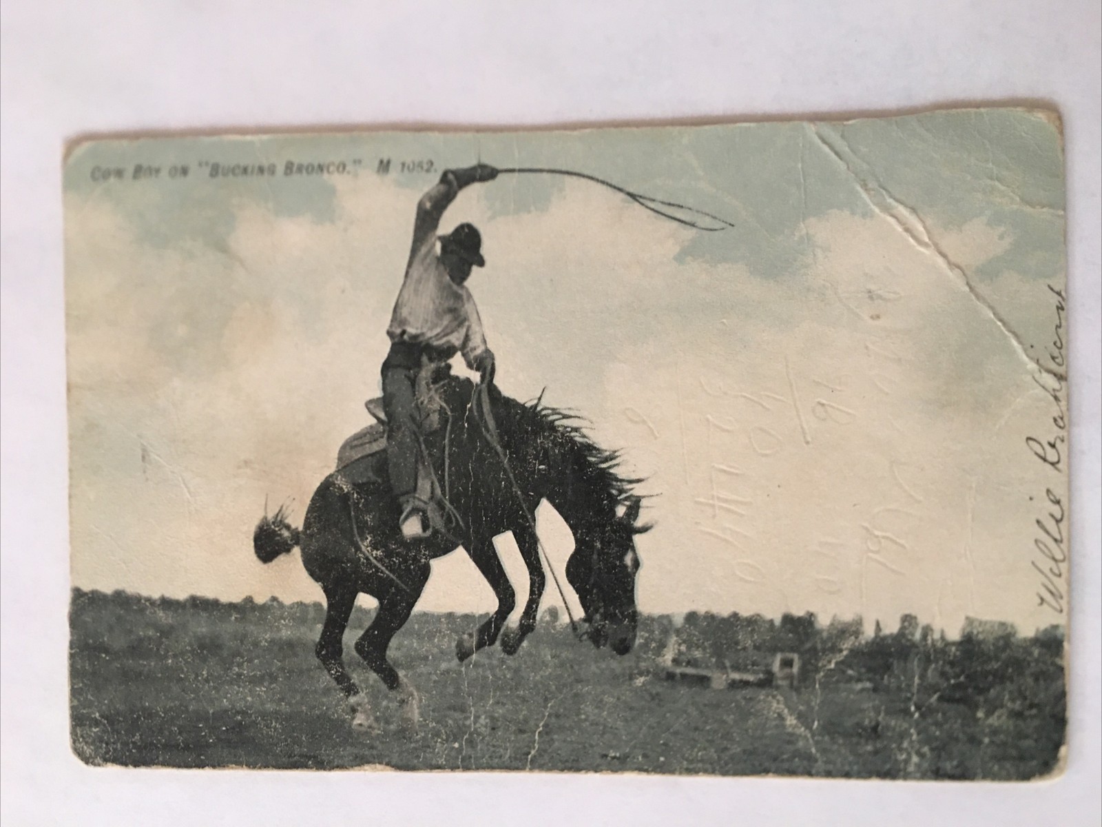 Cow Boy On Bucking Bronco 1907 Antique Postcard