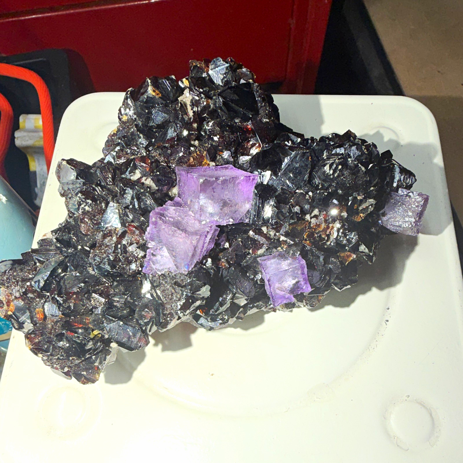 ELMWOOD MINE Purple Fluorite on High-Luster Sphalerite 1lb 2oz Cabinet Specimen