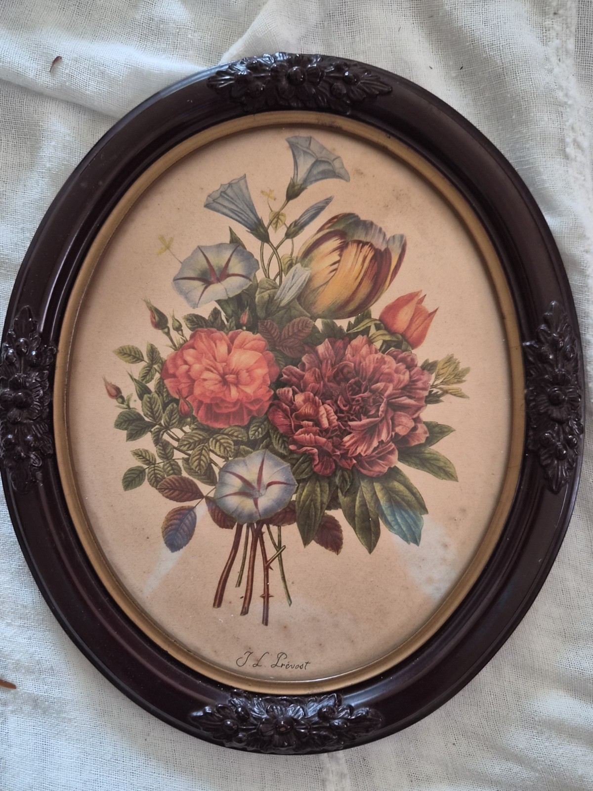 Antique Botanical Flower Print In Oval Frame 