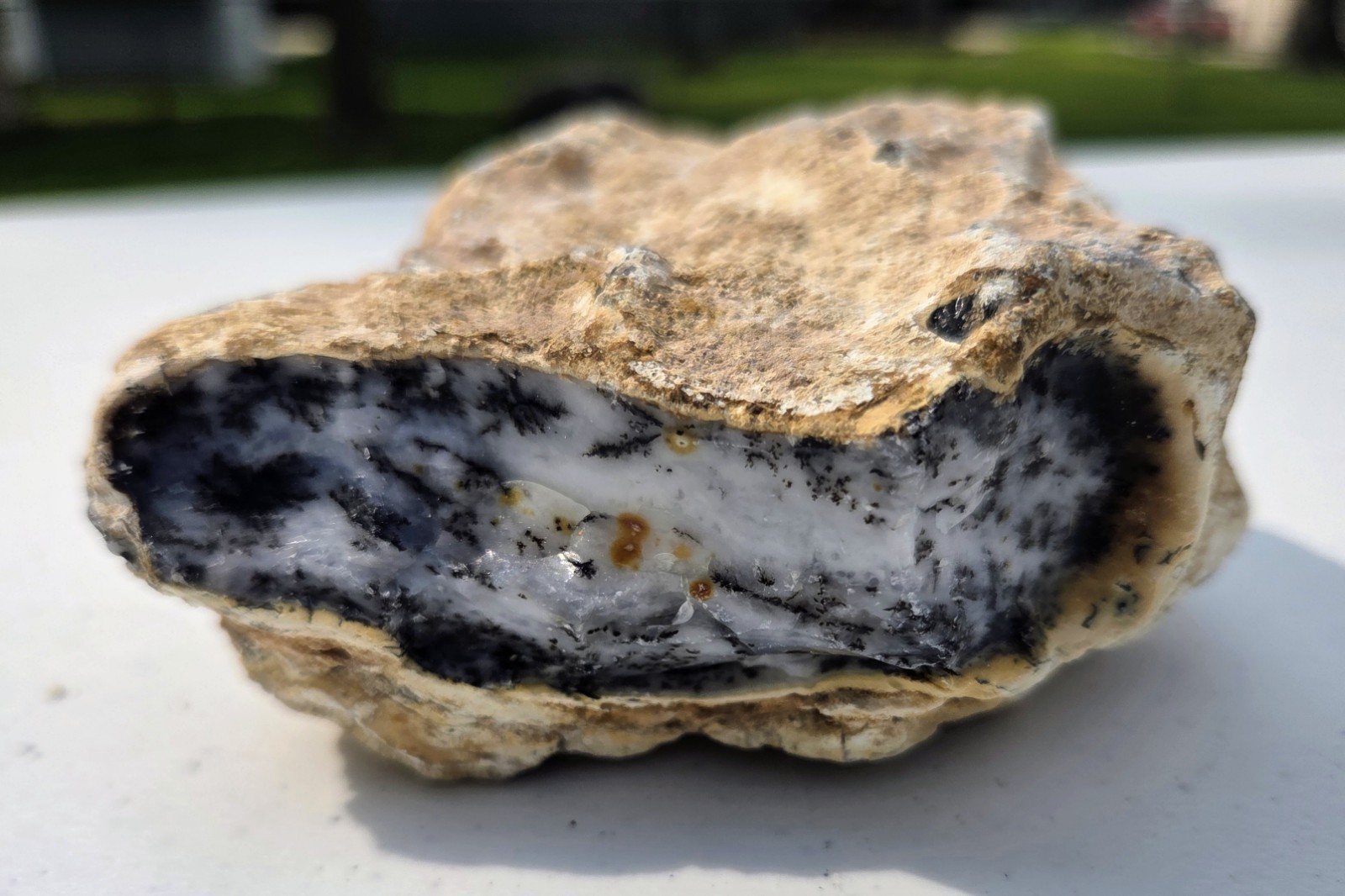 Large 1 lb 11.7 oz Natural Dendritic Common Opal Rough in Matrix – Old Rockhound