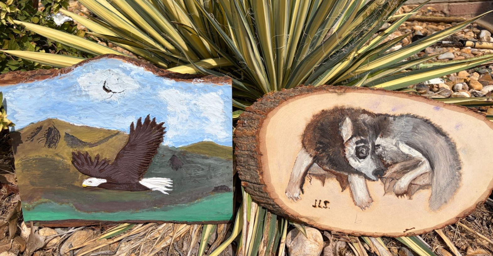 🎨2 Vintage Hand-Painted Wildlife Wood Slice Art  Bald Eagle & Curled Wolf/Husky