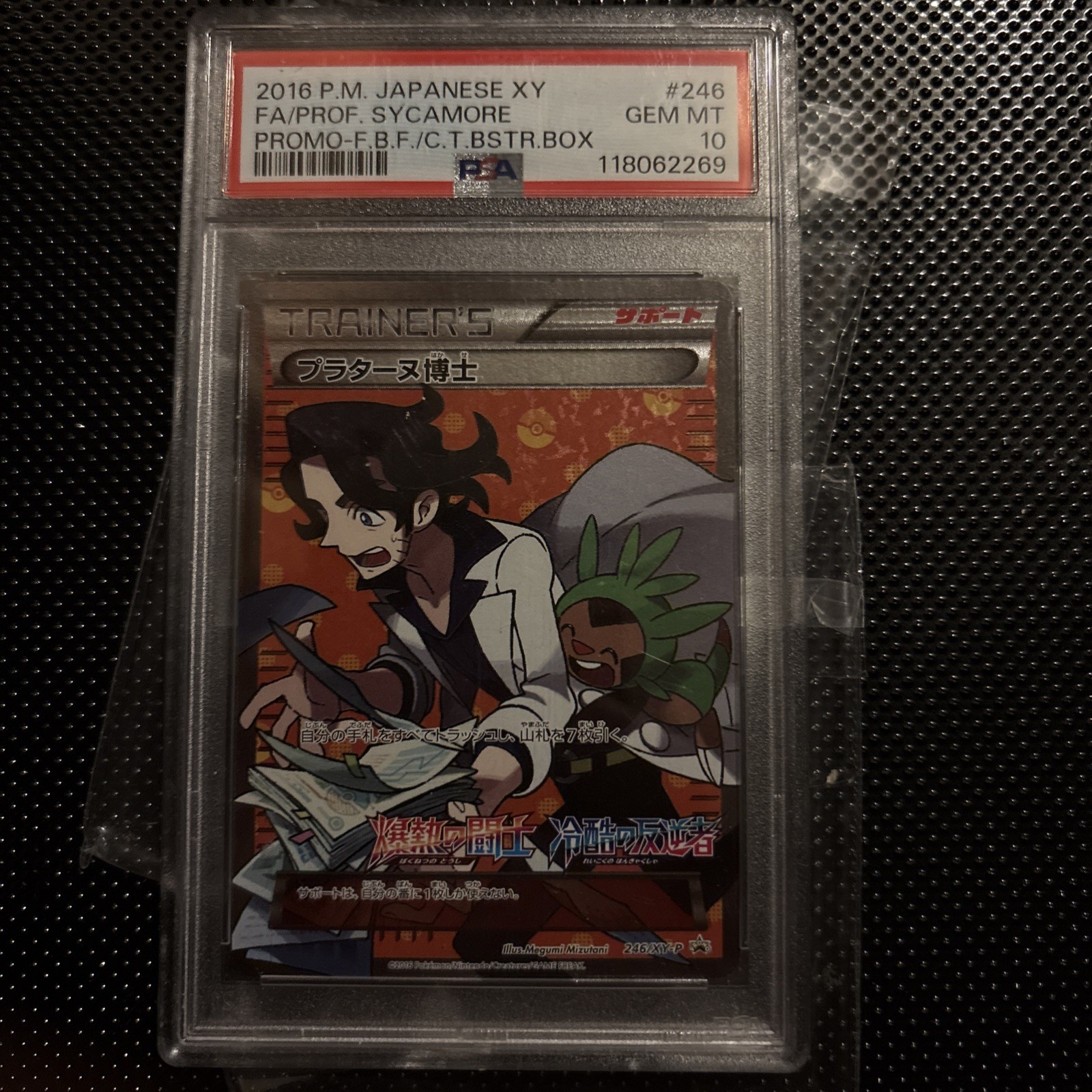 PSA 10 Pokemon Japanese Full Art 2016 XY SYCAMOR PROMO 246/XY-P